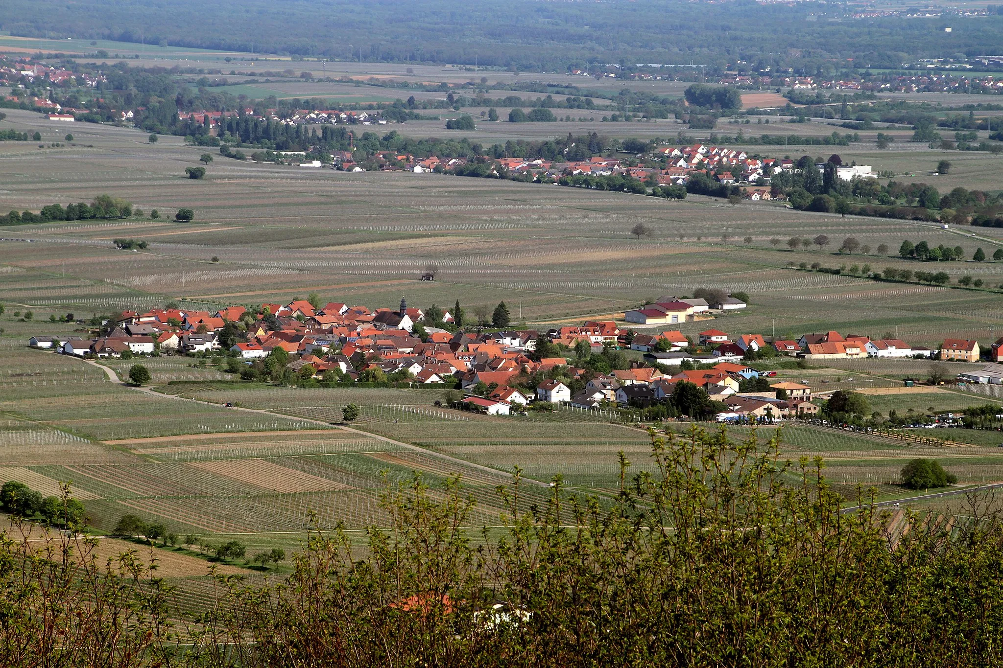 Photo showing: Aussicht von St.-Anna-Kapelle (Burrweiler)‎