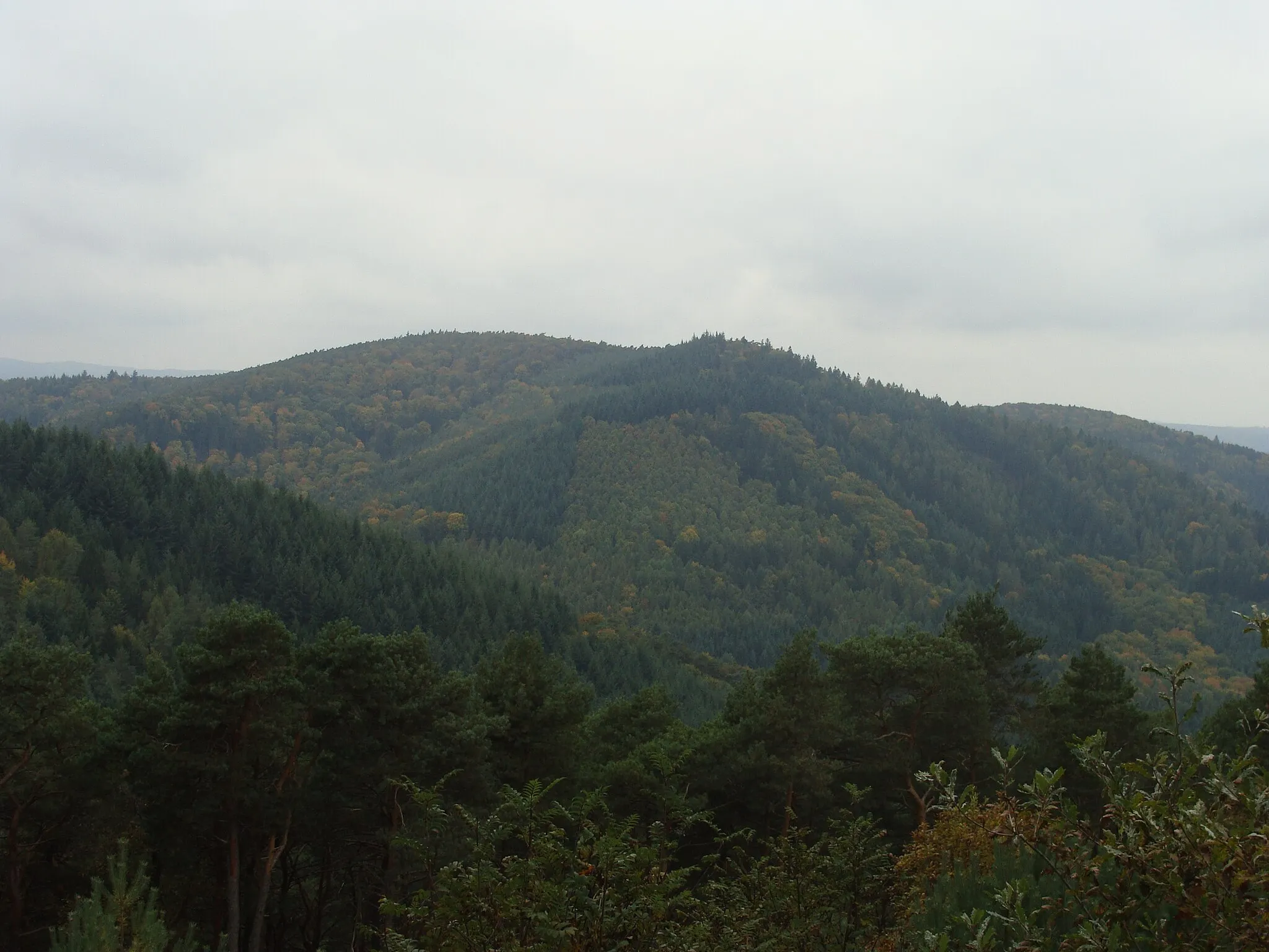 Photo showing: Oberscheid (582 m) im Pfälzerwald - Blick vom Hahnenschritt