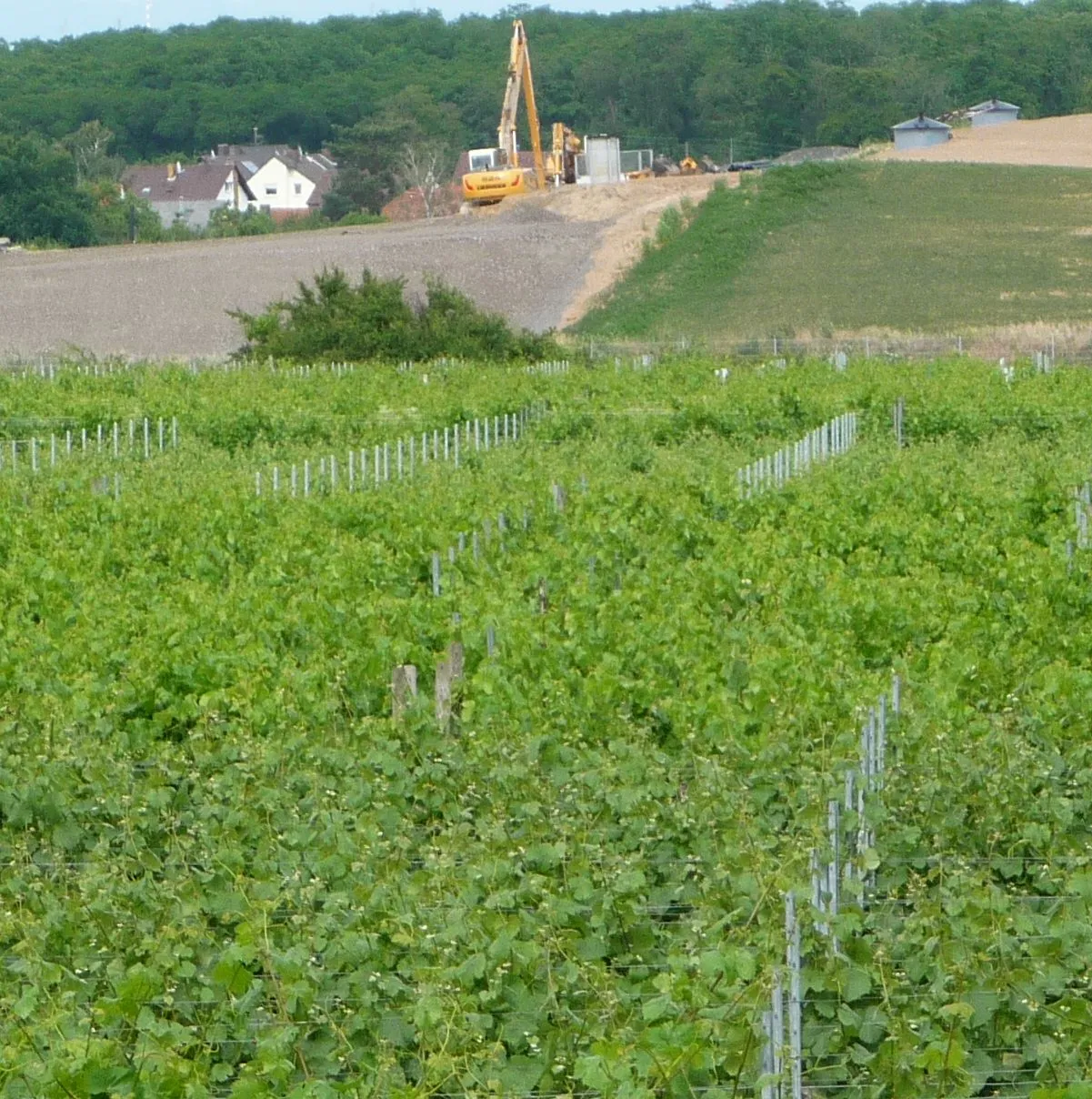 Photo showing: ewiger Müllberg der BASF