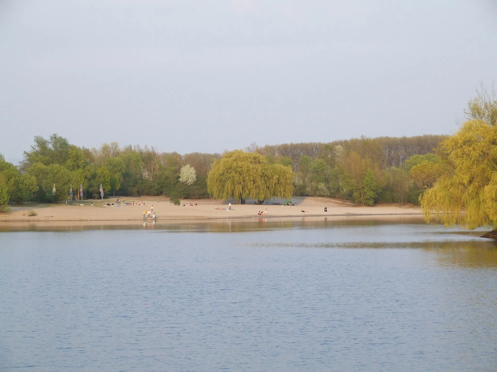 Photo showing: Beach at lake Binsfeld in northern Speyer