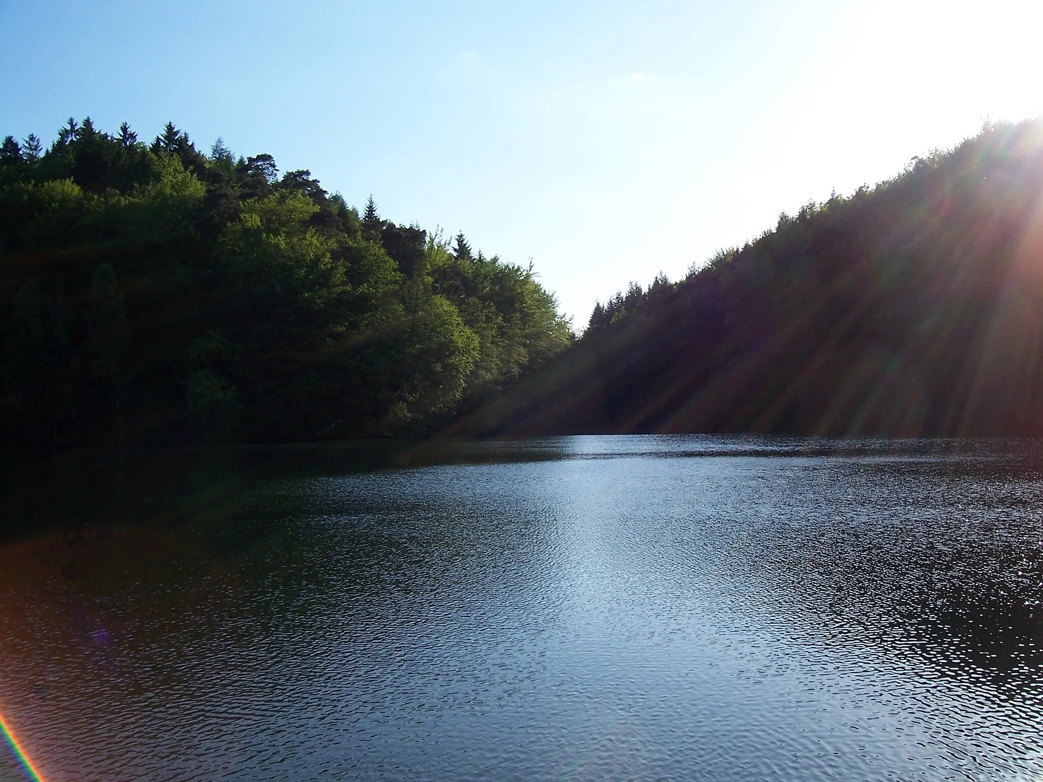 Photo showing: Eiswoog im Mai 2005, Blick nach Westen