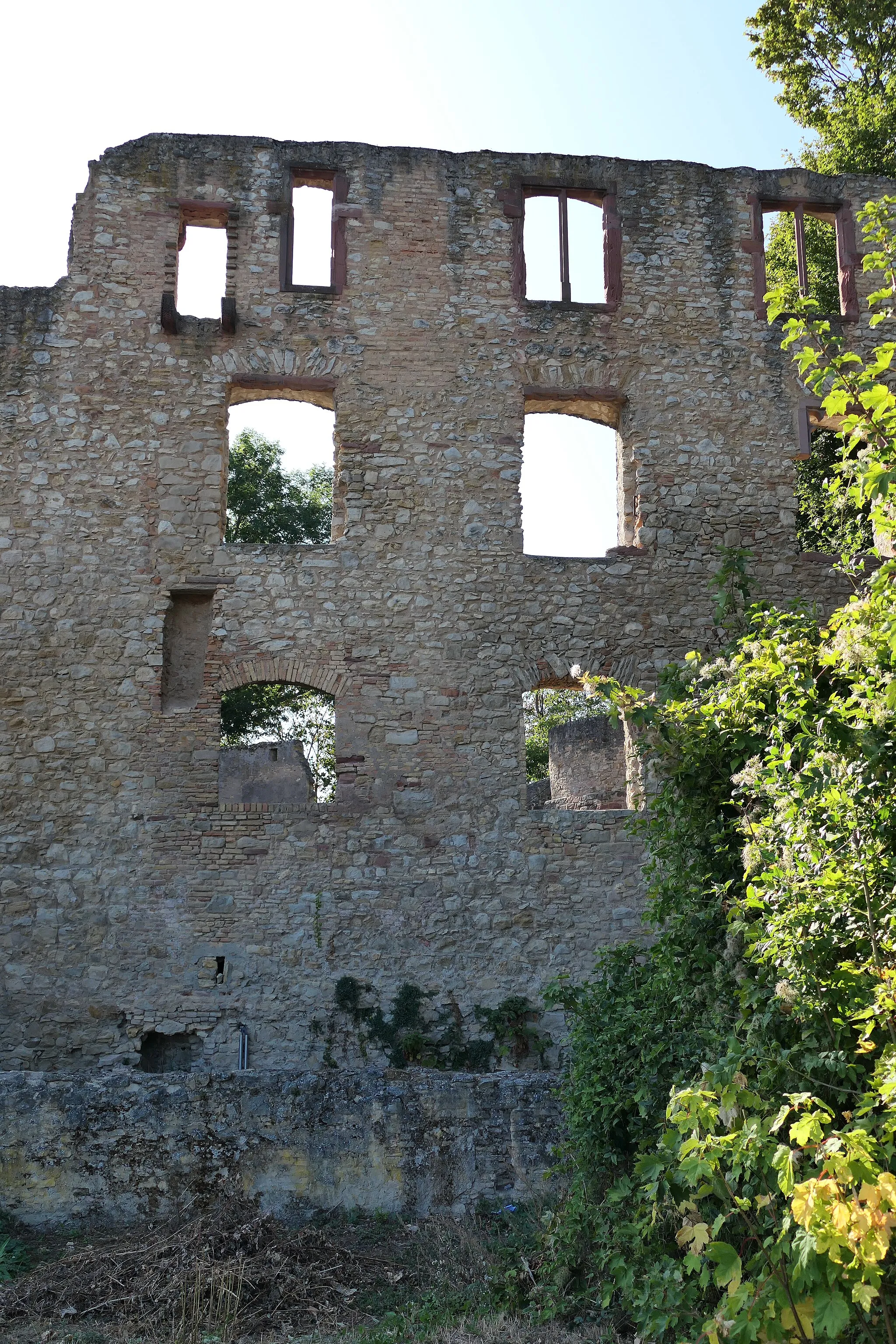 Photo showing: Oppemnheim - Rheinland/Pfalz Burg,- und Schloßruine Burg Landskron