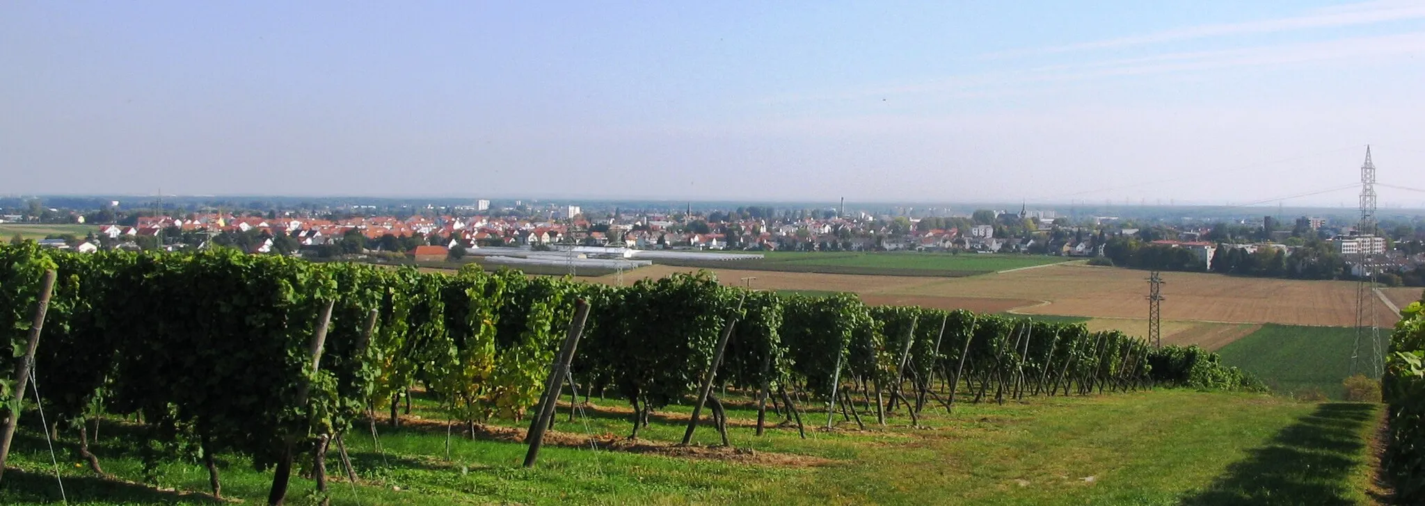 Photo showing: Blick von der Flörsheimer Warte in den Wickerer Weinbergen nach Flörsheim am Main