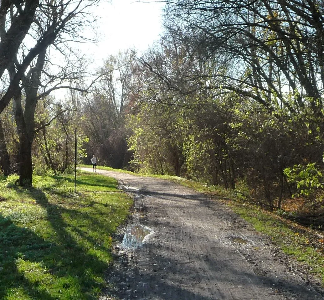 Photo showing: Bruchweg nach einem Regenfall