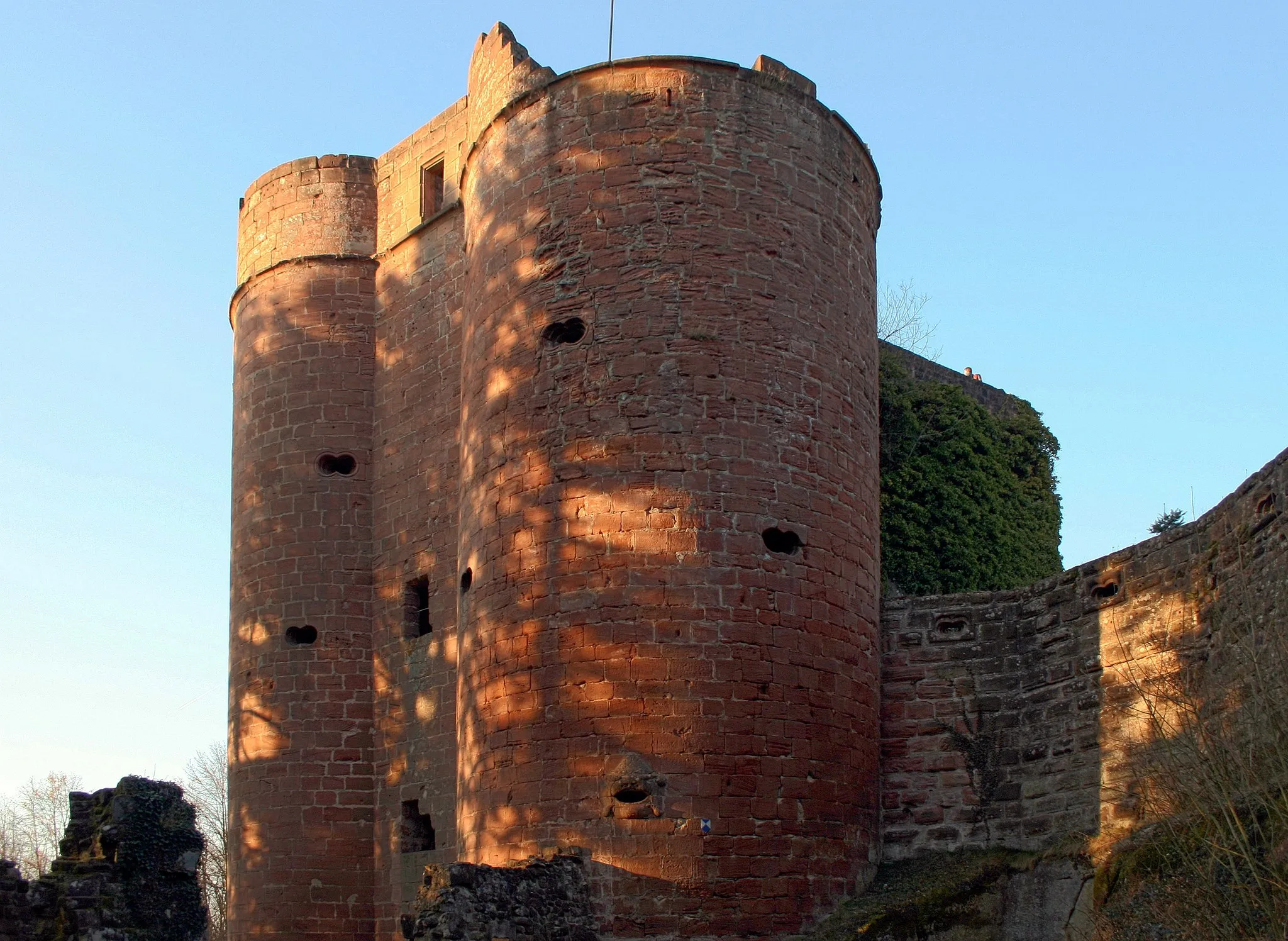 Photo showing: de:Burg Neudahn, Ansicht von Sueden.