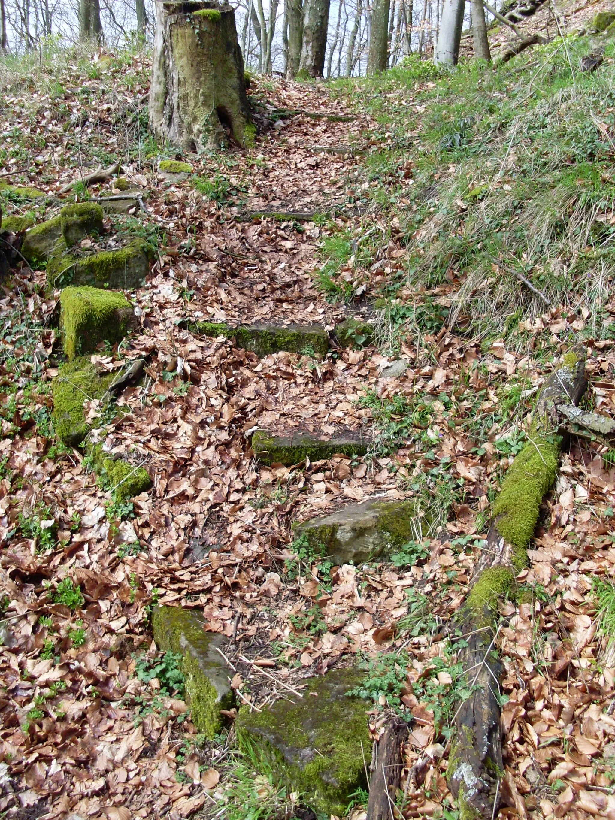 Photo showing: Burgruine Hohenfels Imsbach