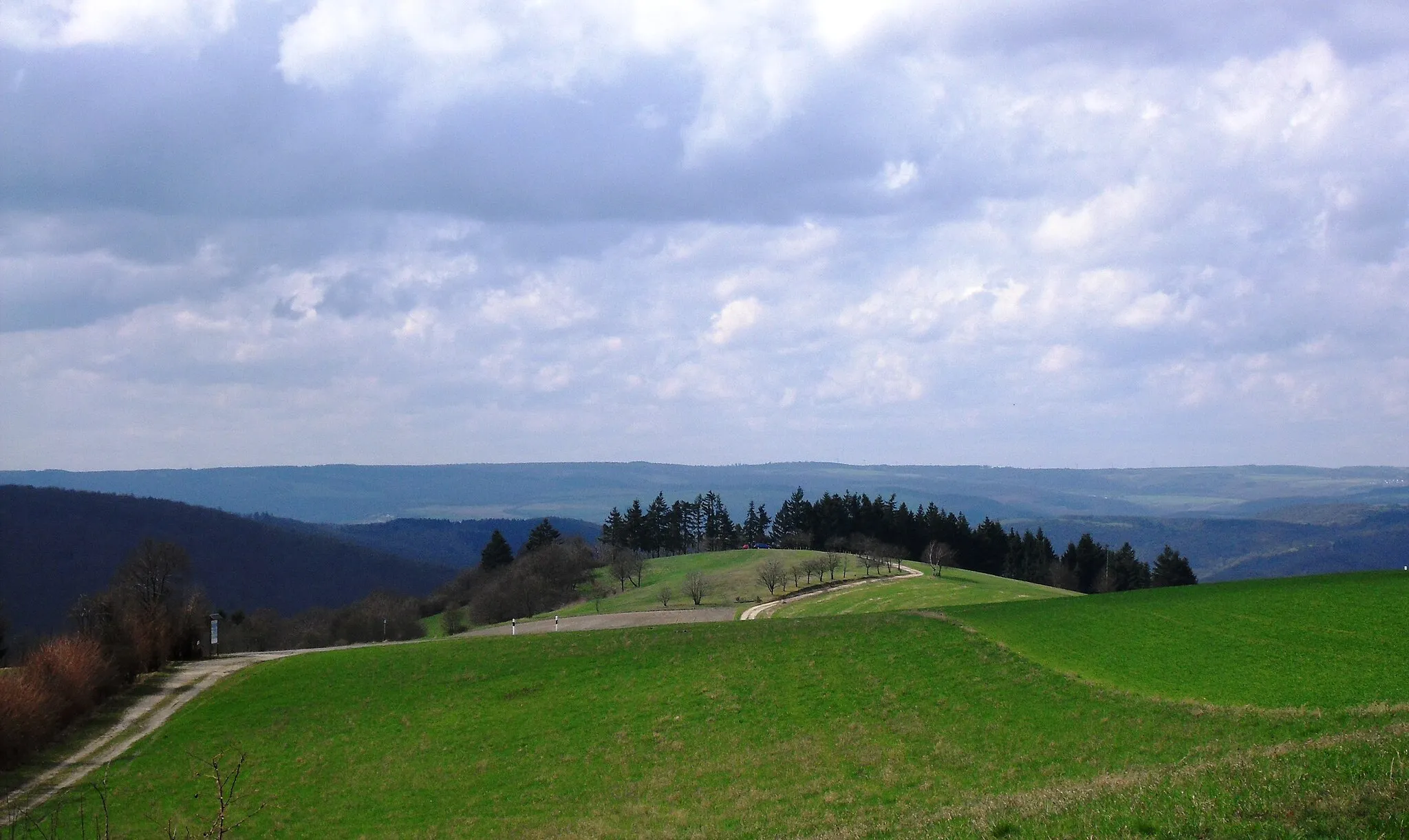 Photo showing: Blick von Presberg nach Westen über den unbewaldeten Buchenbaumkopf (Rheingauer Alp) auf den westlichen Hintertaunus