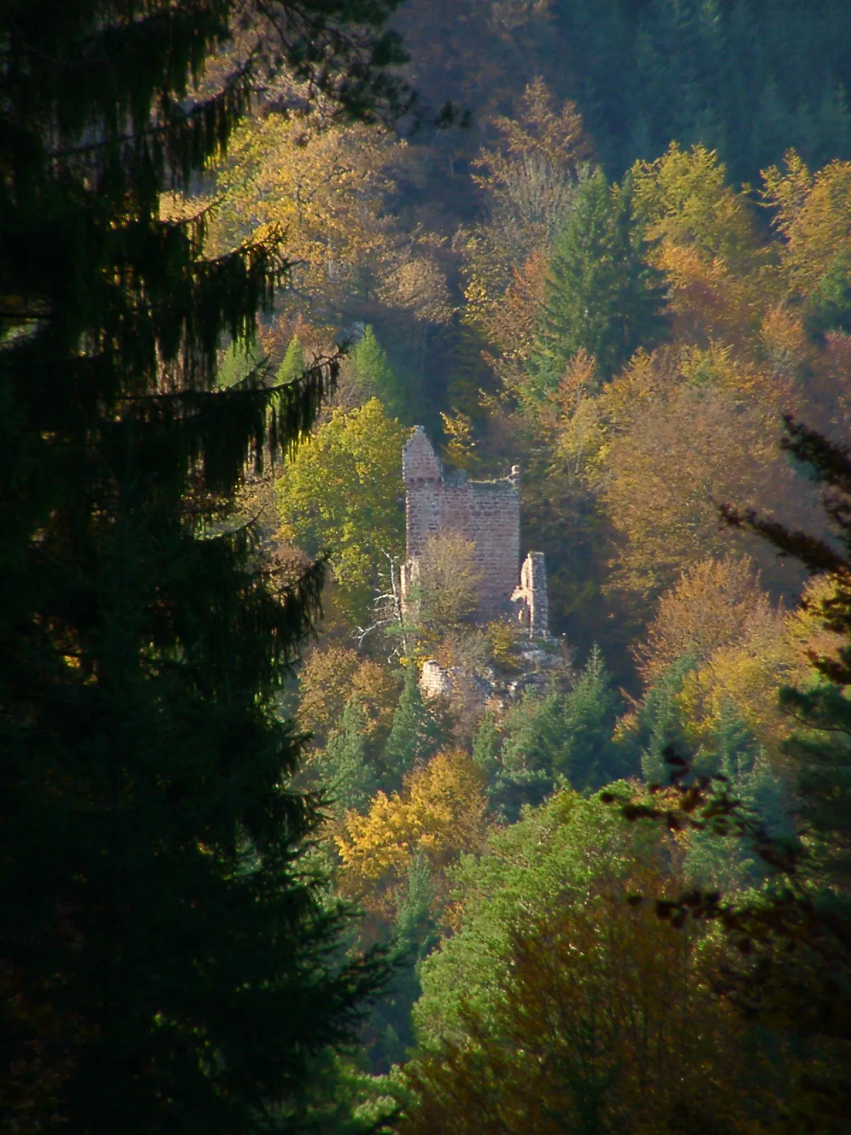 Photo showing: Burgruine Breitenstein