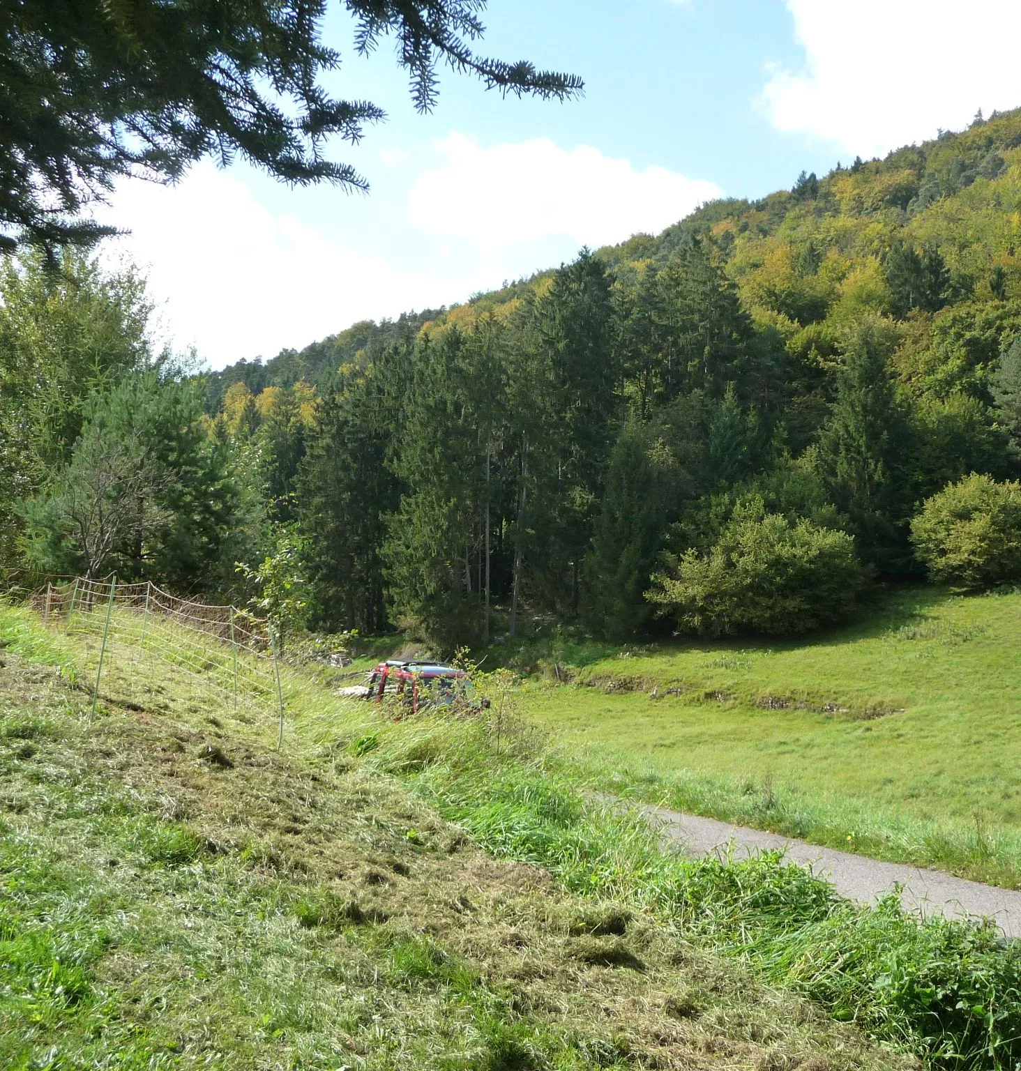 Photo showing: ein Tal bei Esthal