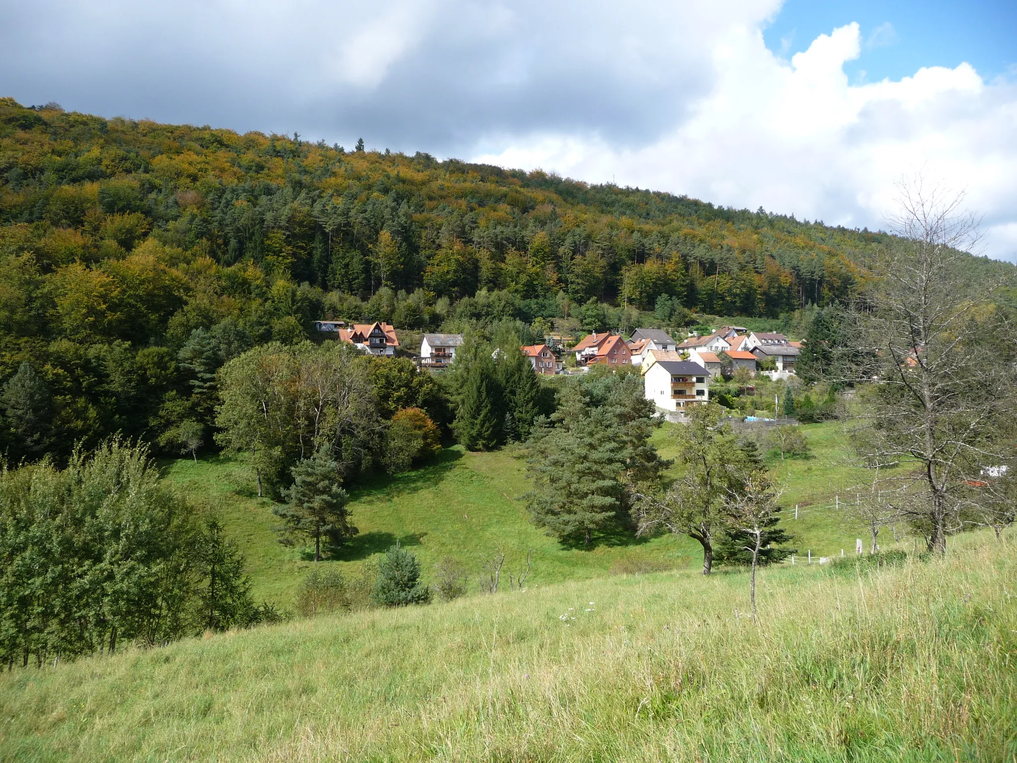 Photo showing: Esthal (pfälzisch: Eschdl) ist eine Ortsgemeinde im Landkreis Bad Dürkheim in Rheinland-Pfalz.