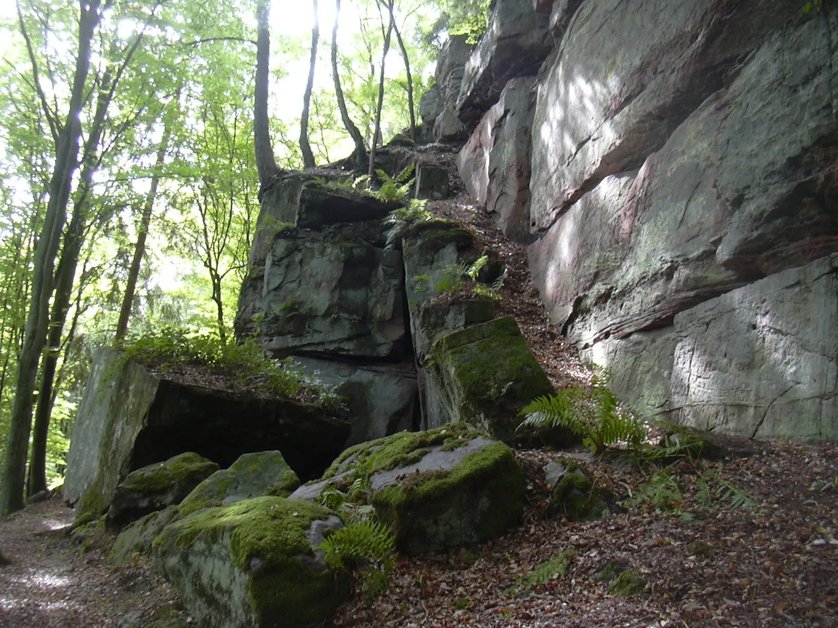 Photo showing: Heidelsburg (Roman castrum), natural sandstone rocks supplementing walls, near Waldfischbach-Burgalben / Palatinate, Germany