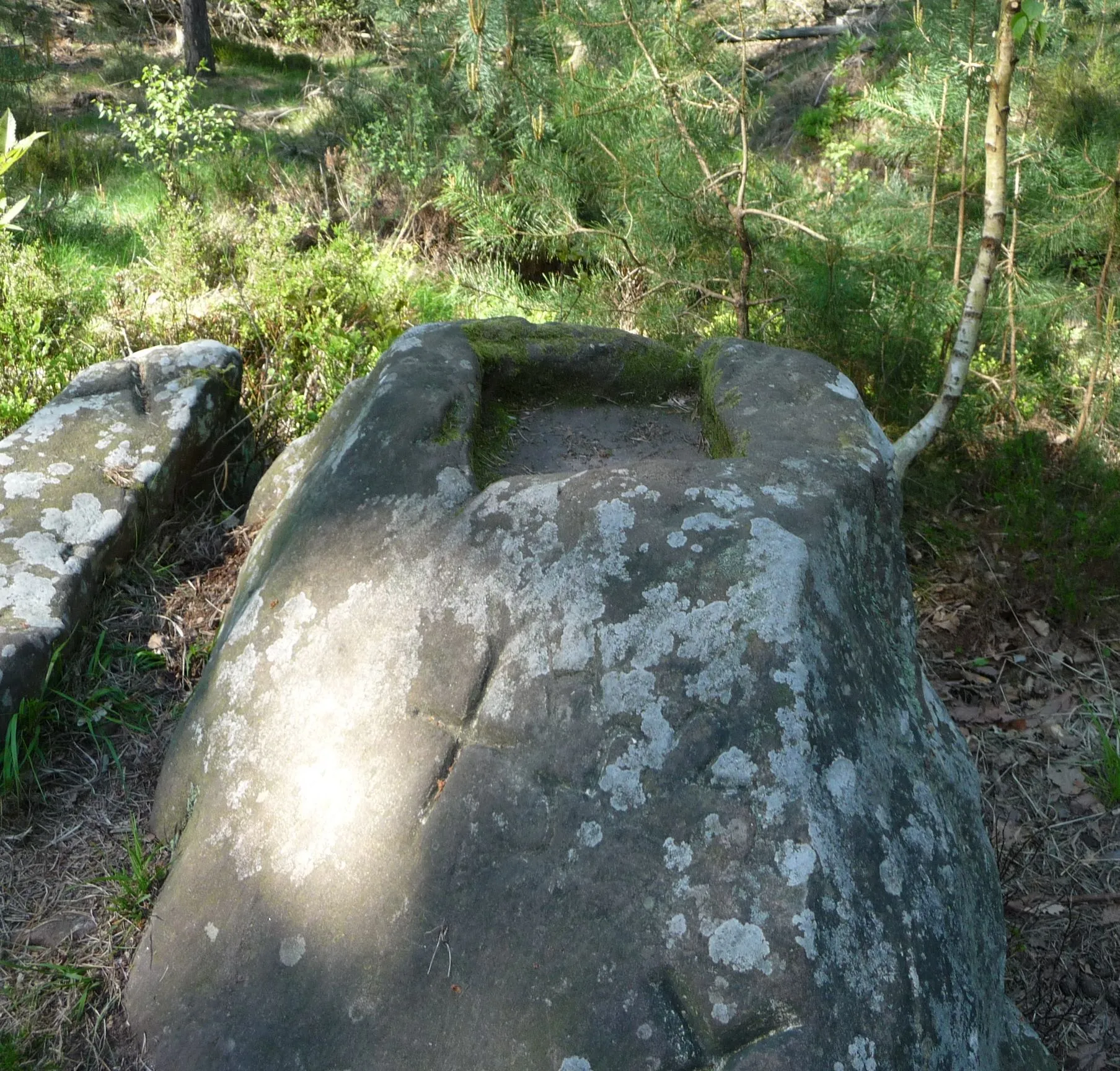 Photo showing: Die "Suppenschüssel" ist ein alter Grenzstein, an dem Leistädter historischen Rundwanderweg.