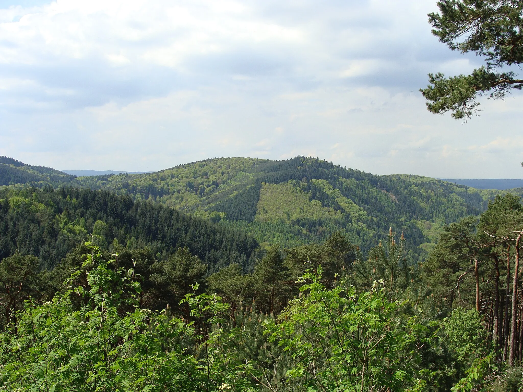 Photo showing: Oberscheid im Pfälzerwald - Blick von der Passhöhe Hahnenschritt