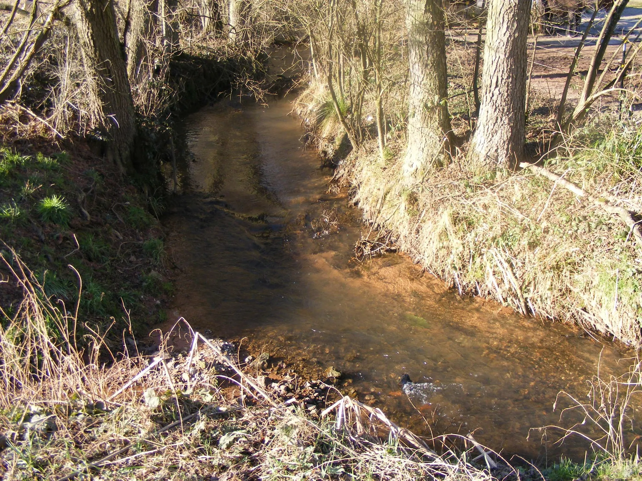 Photo showing: Eußerbach unterhalb von Eußerthal