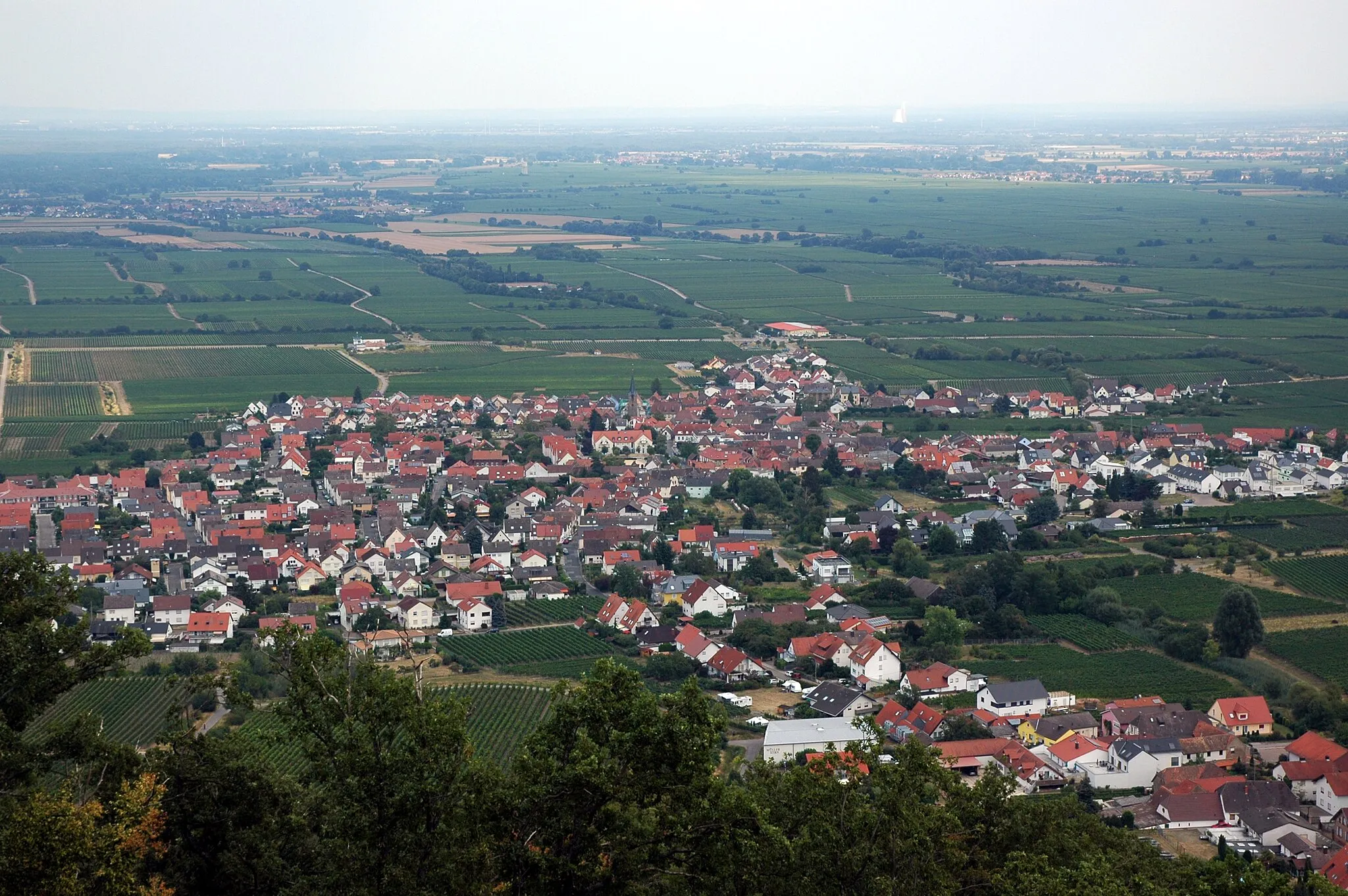 Photo showing: Diedesfeld - aussicht von Hambacher Schloss
