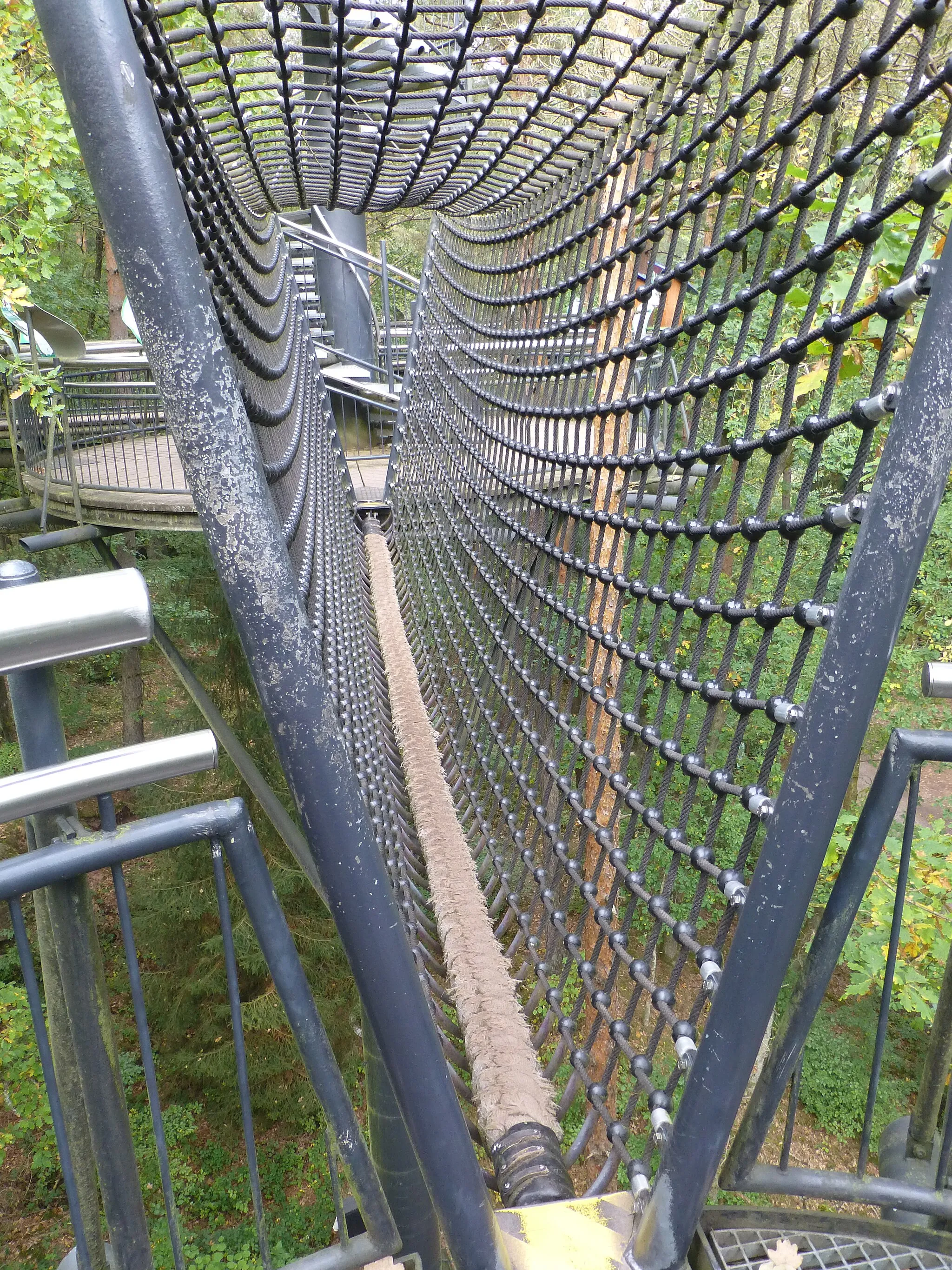 Photo showing: Baumwipfelpfad Biosphärenhaus, Dschungelbrücke