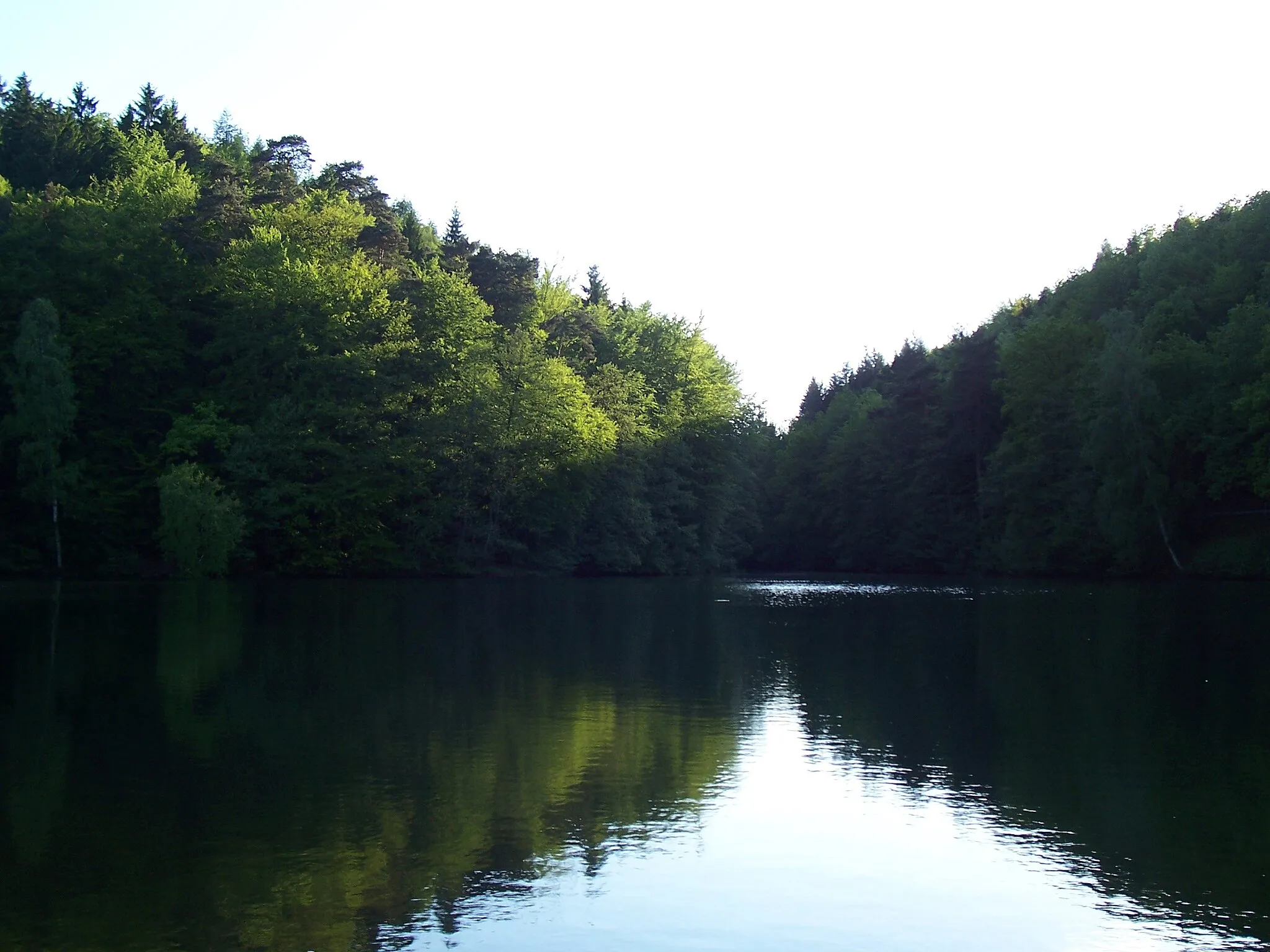 Photo showing: Eiswoog im Mai 2005, Blick nach Westen