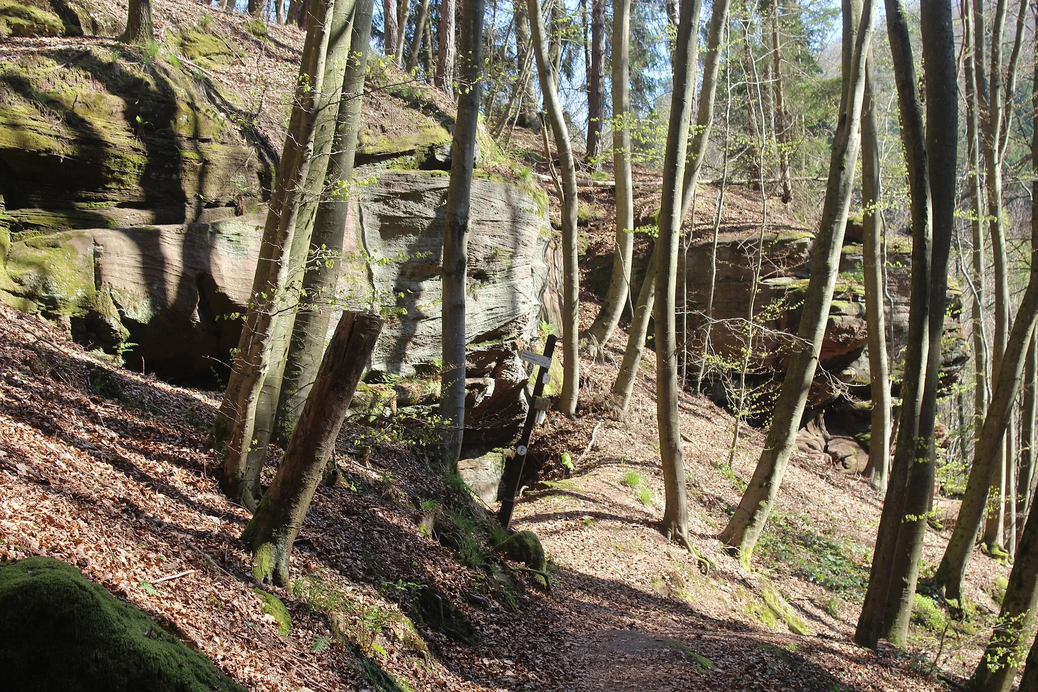 Photo showing: Rodalben, on the path through the rocks number 3