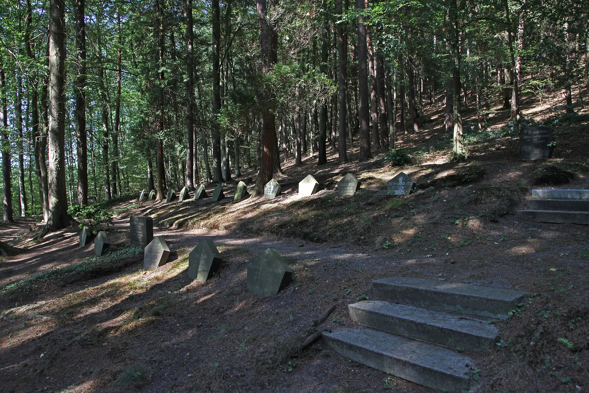 Photo showing: Pirmasens, Waldfriedhof, Judenfriedhof in der Südwestecke; 1927 eröffnet, 56 Grabsteine.