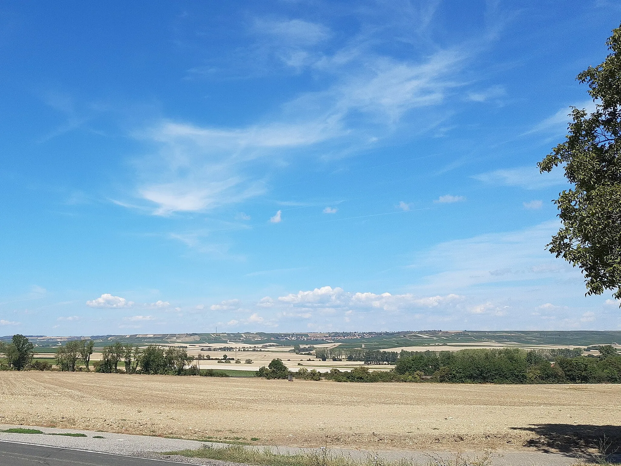 Photo showing: Hilly "Hiwwel" landscape with fields and vineyards near Rommersheim