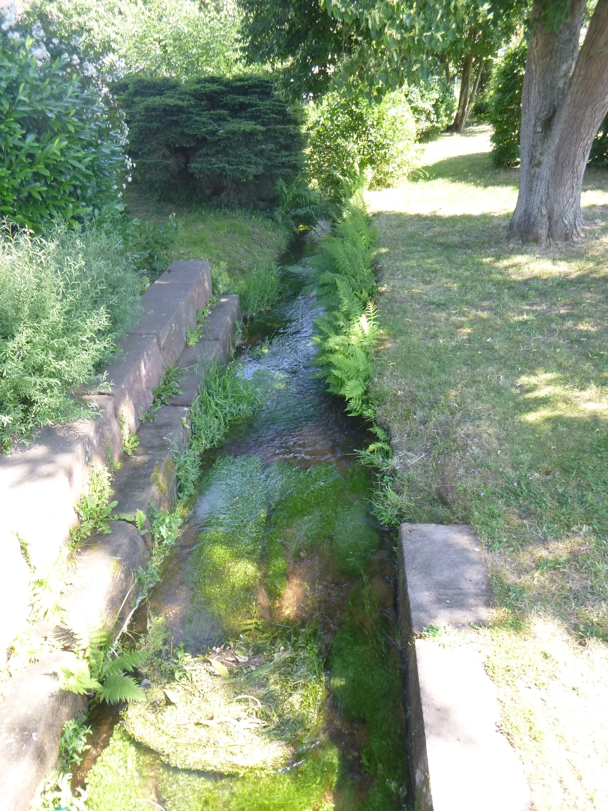 Photo showing: Fischbach innerhalb der gleichnamigen Ortsgemeinde