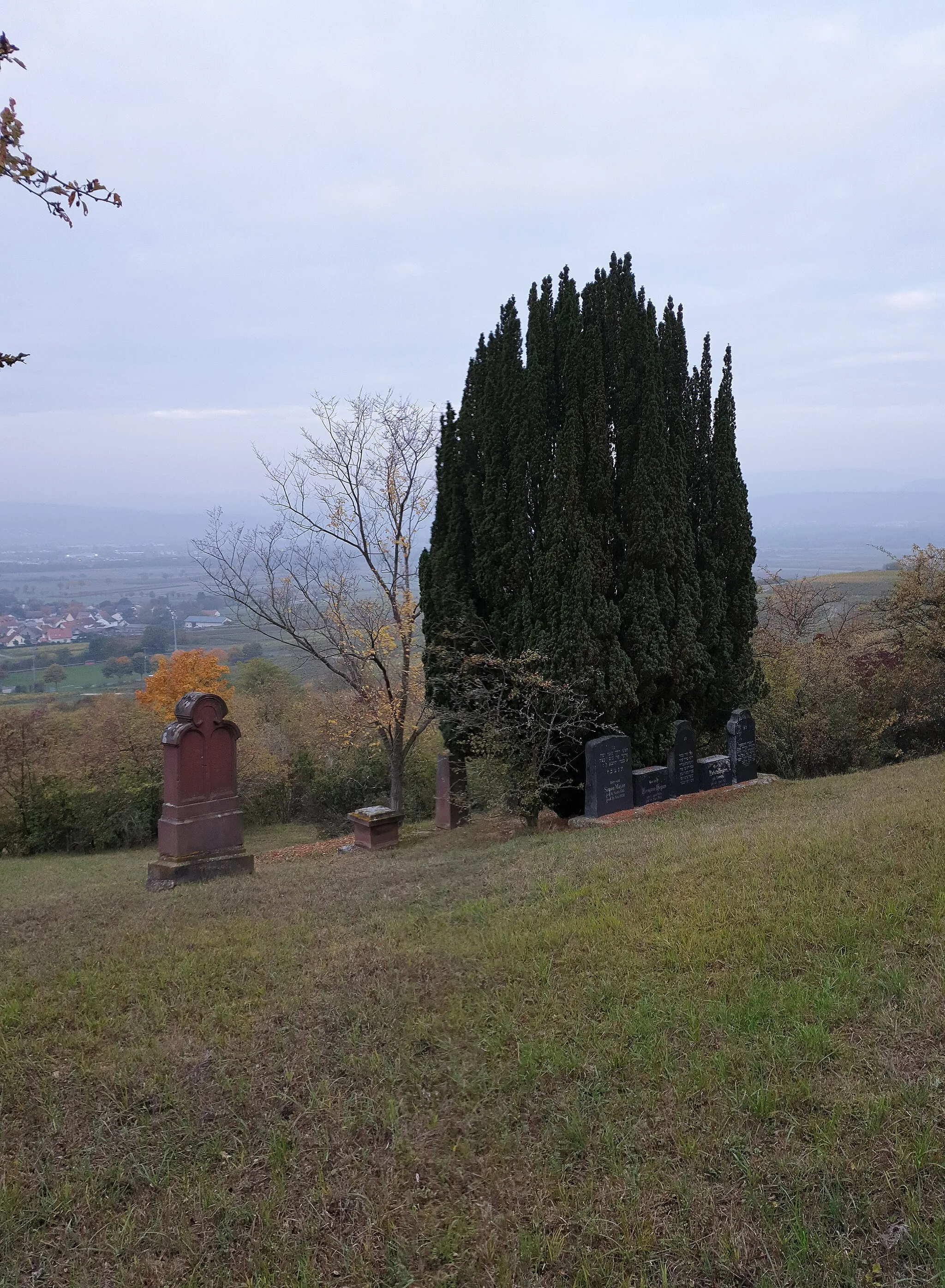 Photo showing: Dromersheim, Jewish cemetery