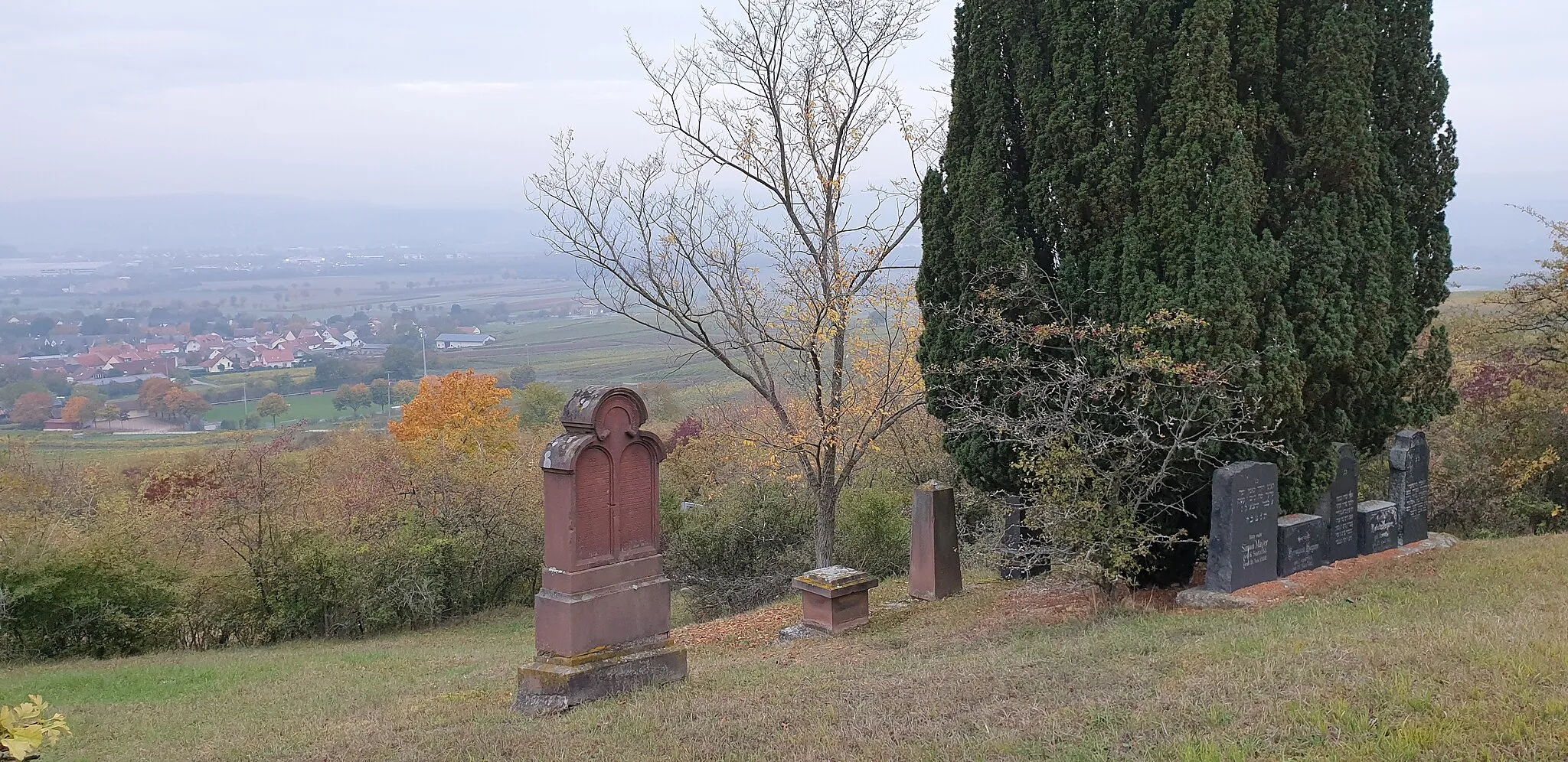 Photo showing: Dromersheim, Jewish cemetery