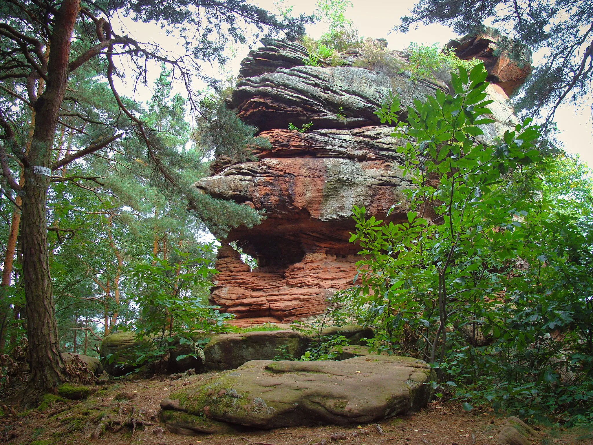 Photo showing: Falkenstein am Dimberg (Wasgau/Pfälzerwald)