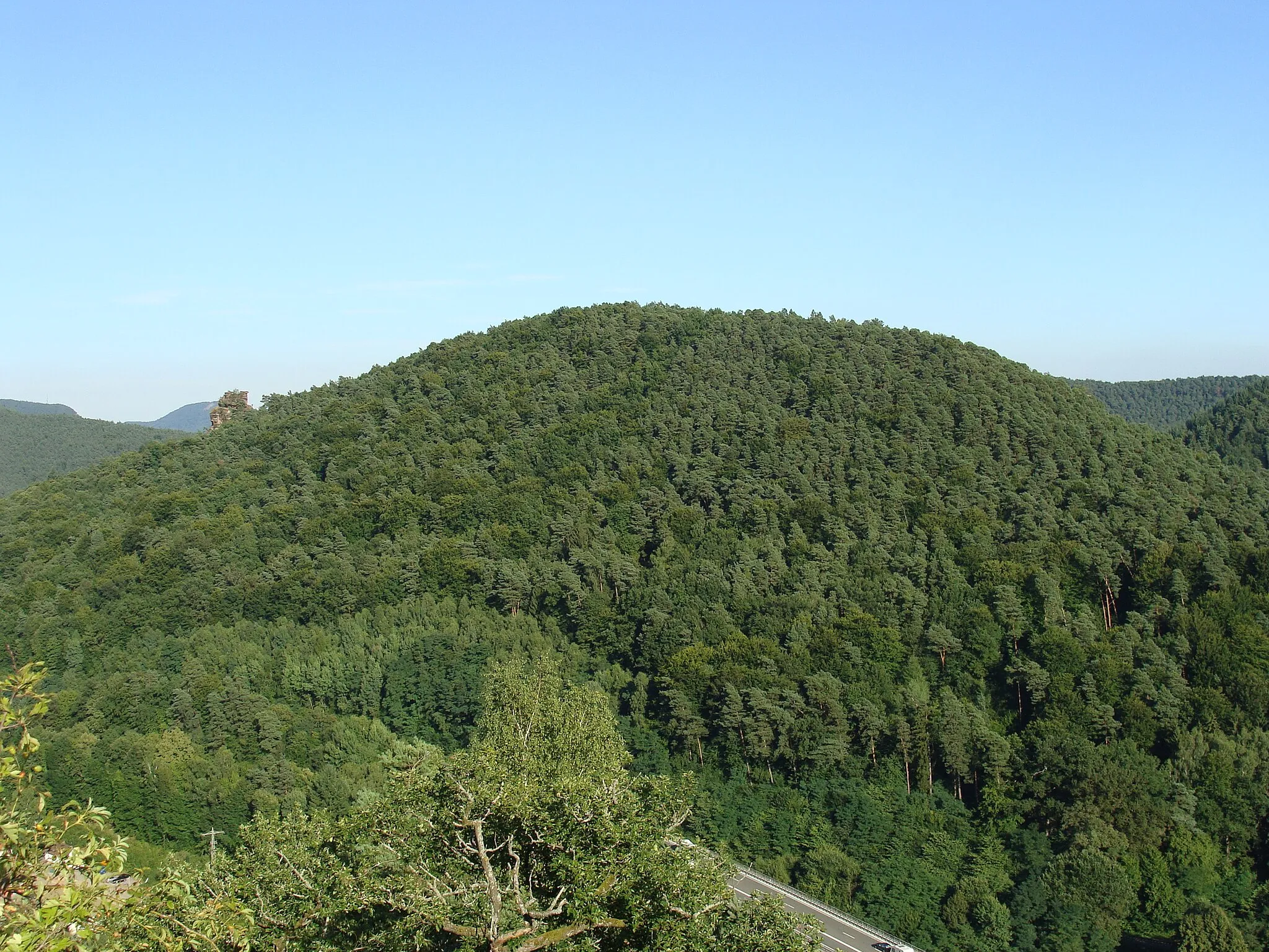 Photo showing: Großer Rauhberg (377 m) im Wasgau/Pfälzerwald