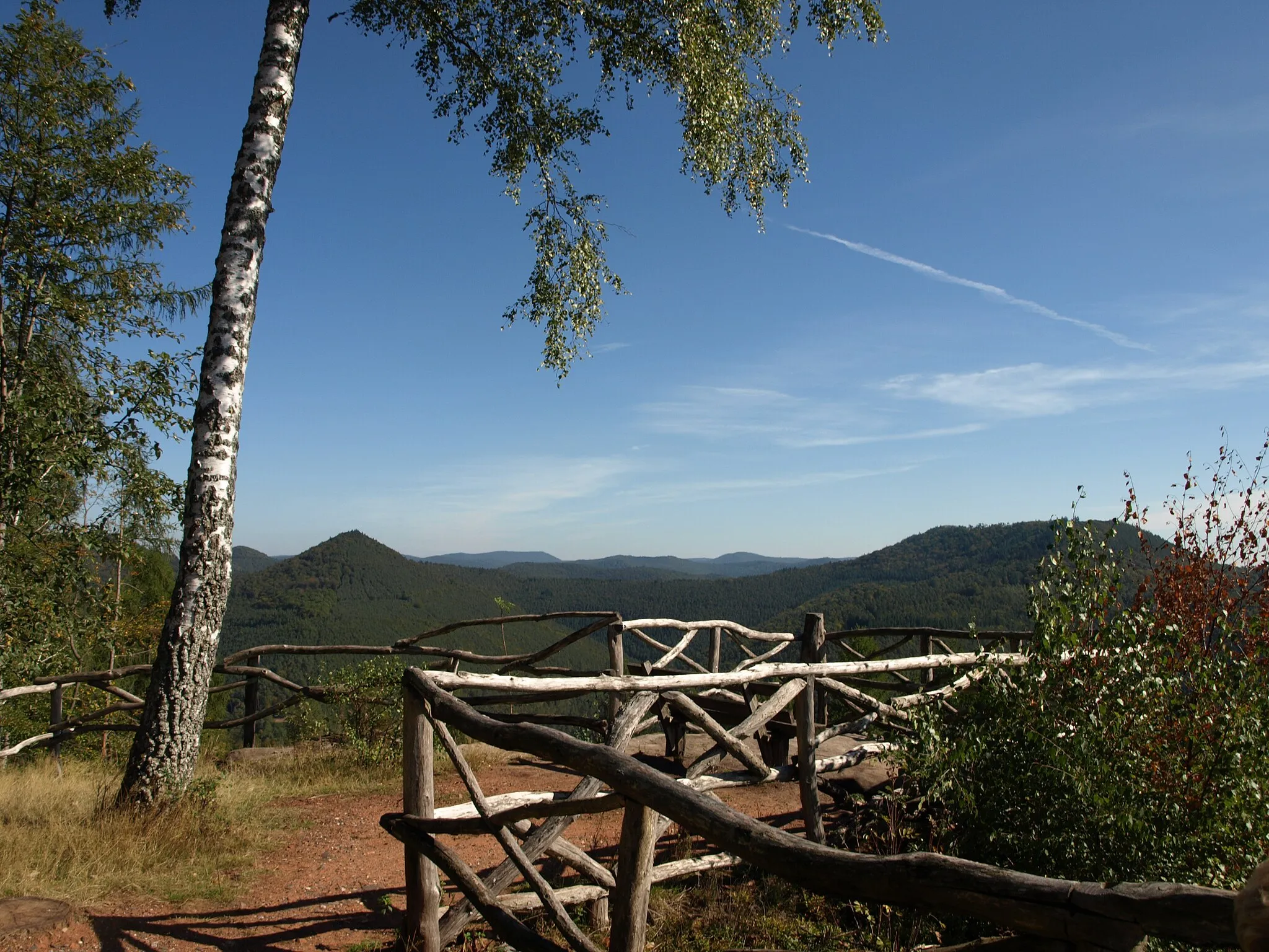 Photo showing: Weg zum Aussichtspunkt vom Kirschfelsen im Pfälzer Wald