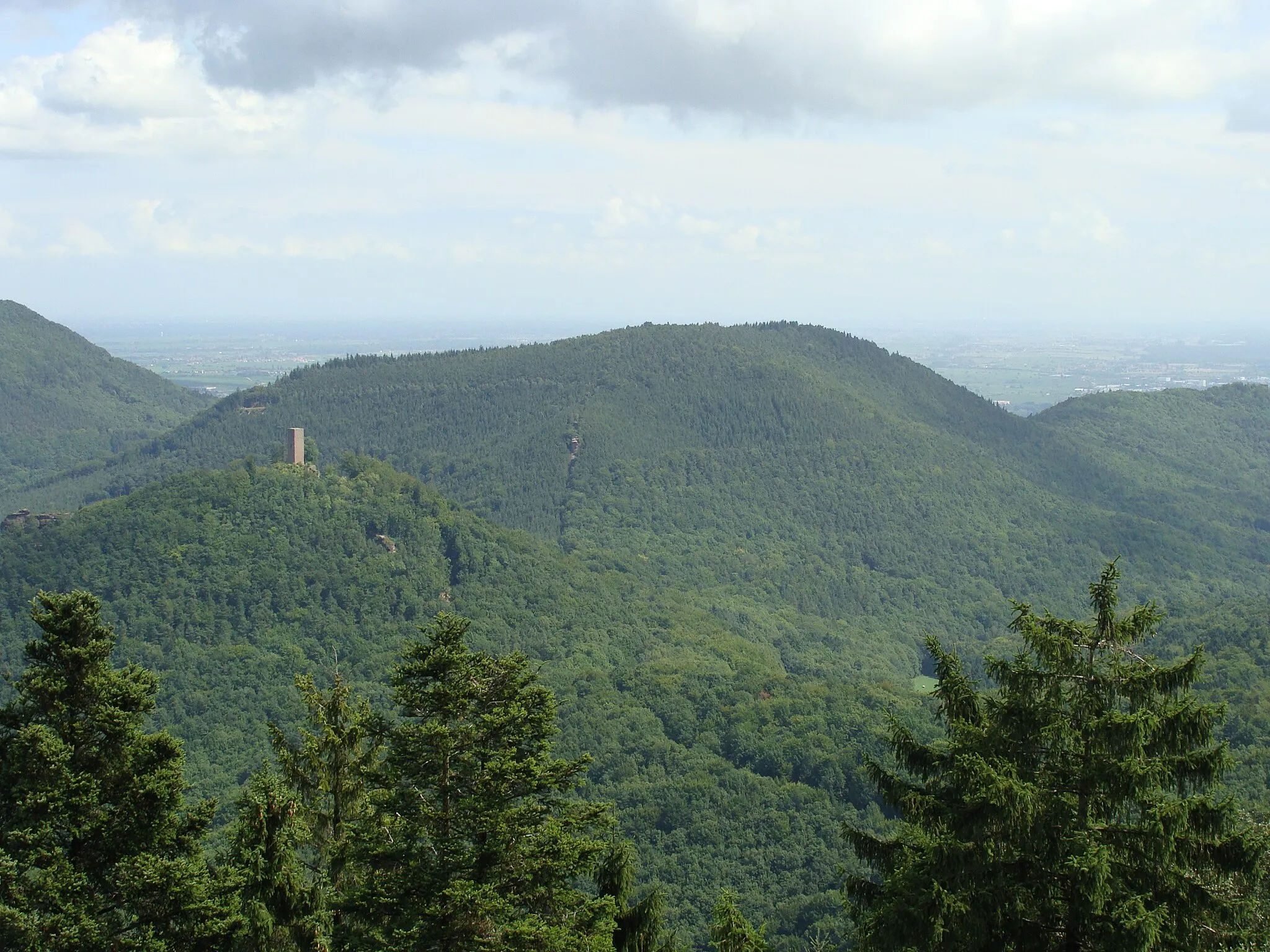 Photo showing: Föhrlenberg (533 m) im Wasgau/Pfälzerwald (im Vordergrund: Burgruine Scharfenberg/Münz)