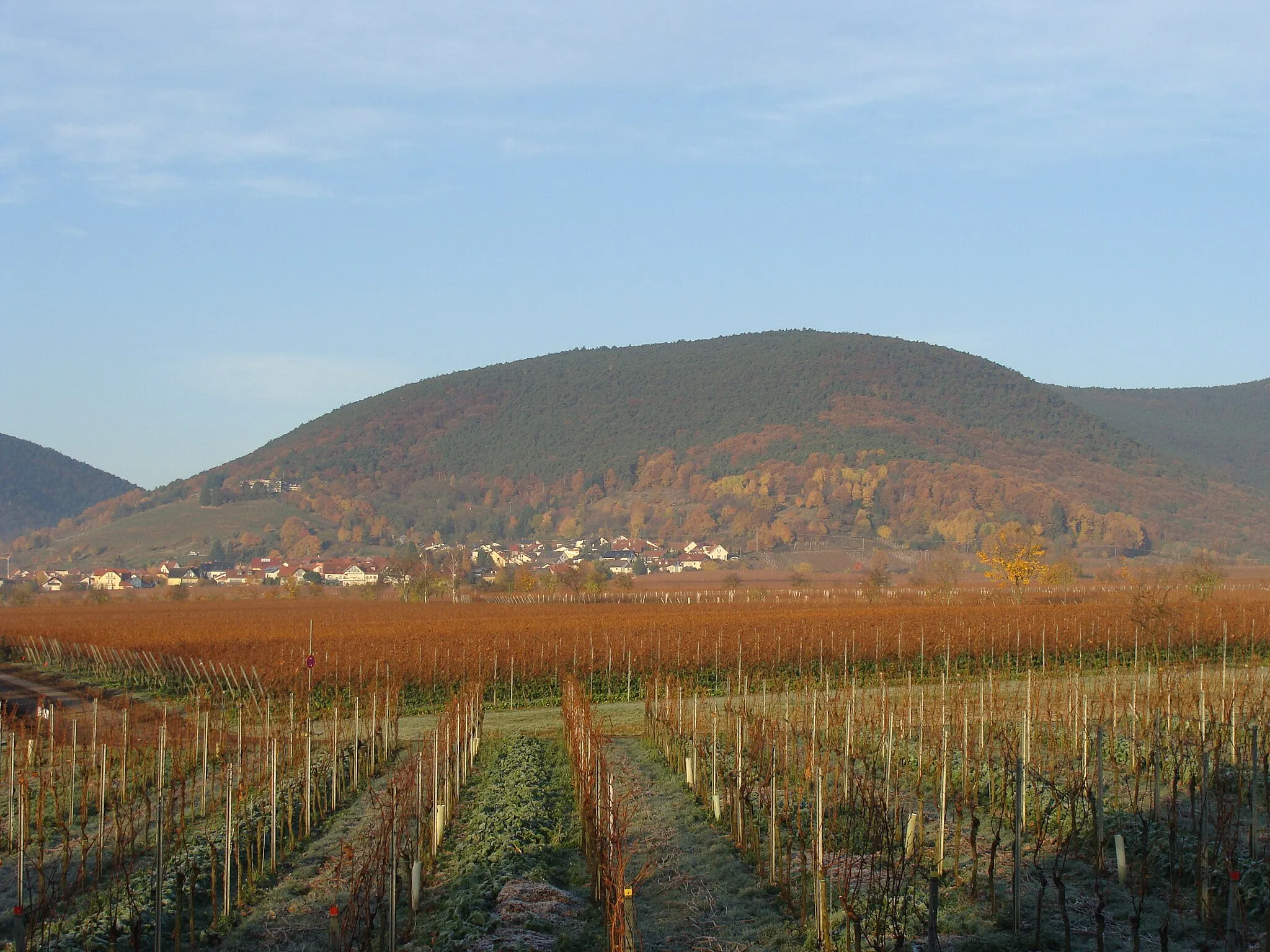 Photo showing: Breitenberg (Haardt) im Pfälzerwald