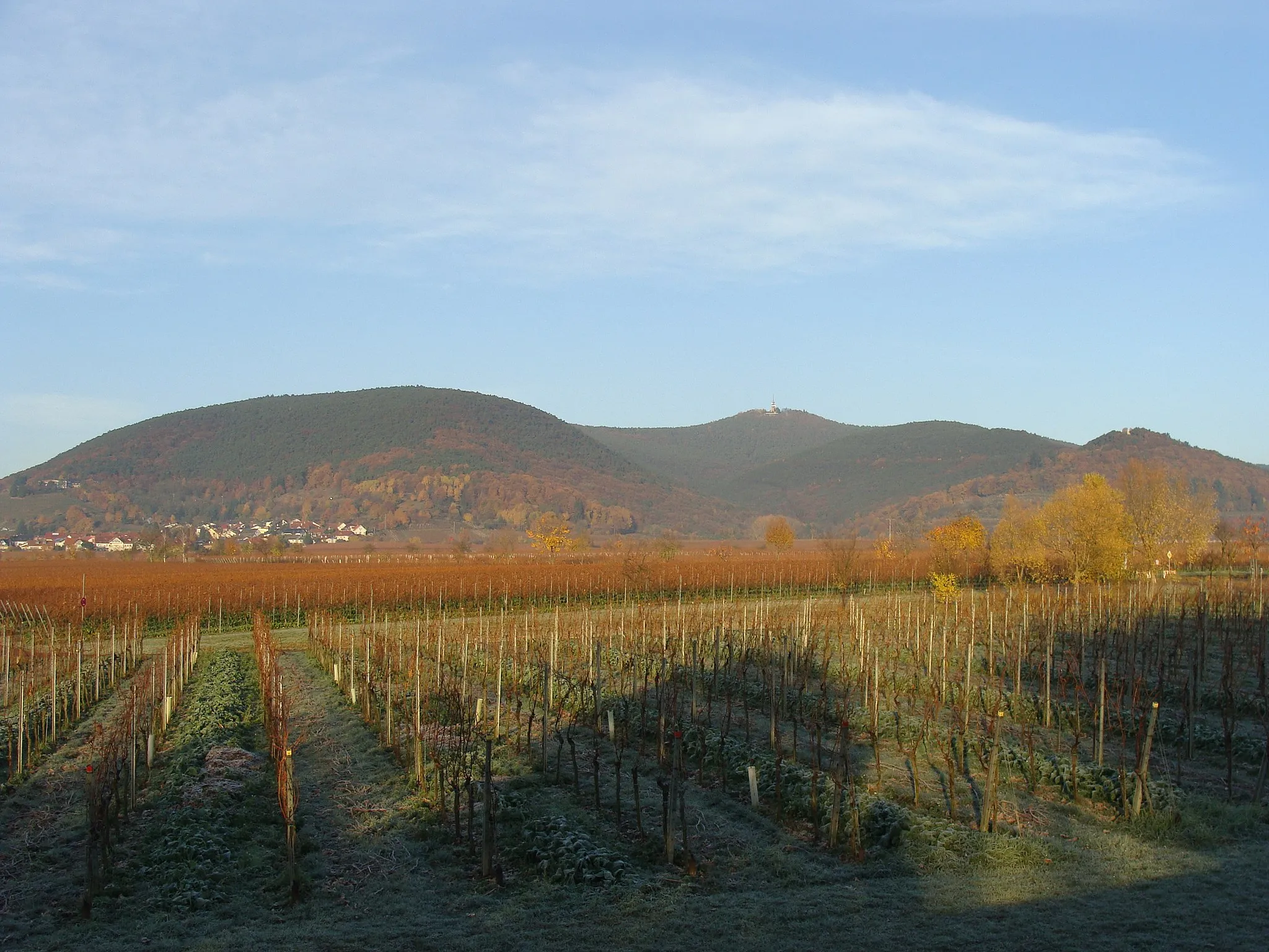 Photo showing: Kalmitmassiv von Maikammer aus gesehen mit Breitenberg, Kalmithauptgipfel, Kanzel und Wetterkreuzberg