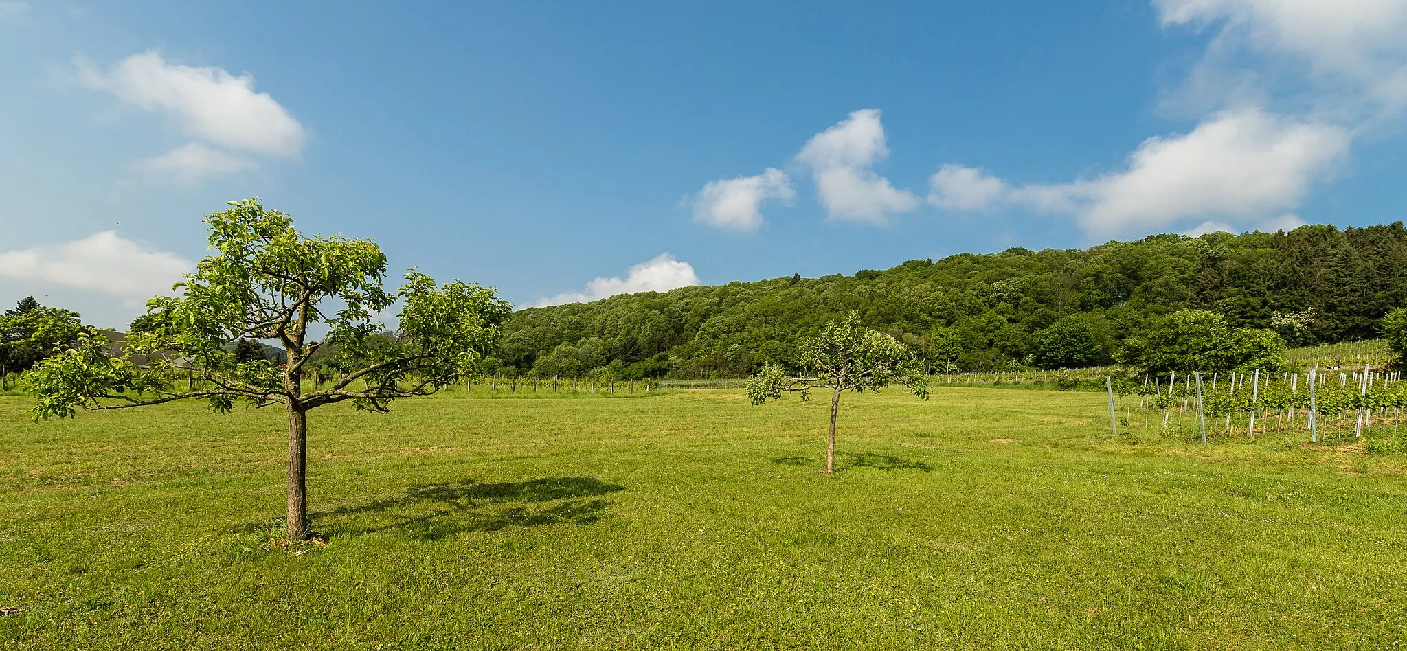 Photo showing: This is a picture of the protected area listed at WDPA under the ID