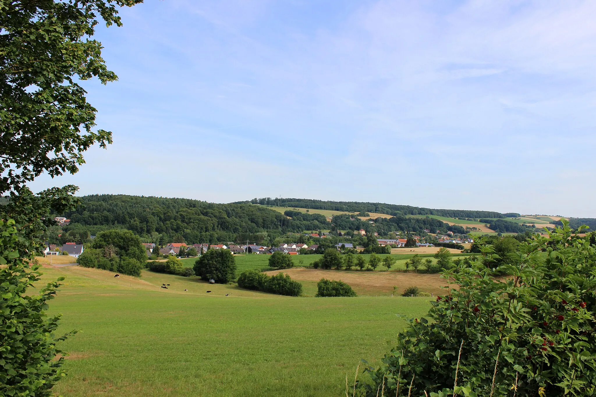 Photo showing: Ansicht von Dellfeld, Kreis Südwestpfalz, Rheinland-Pfalz