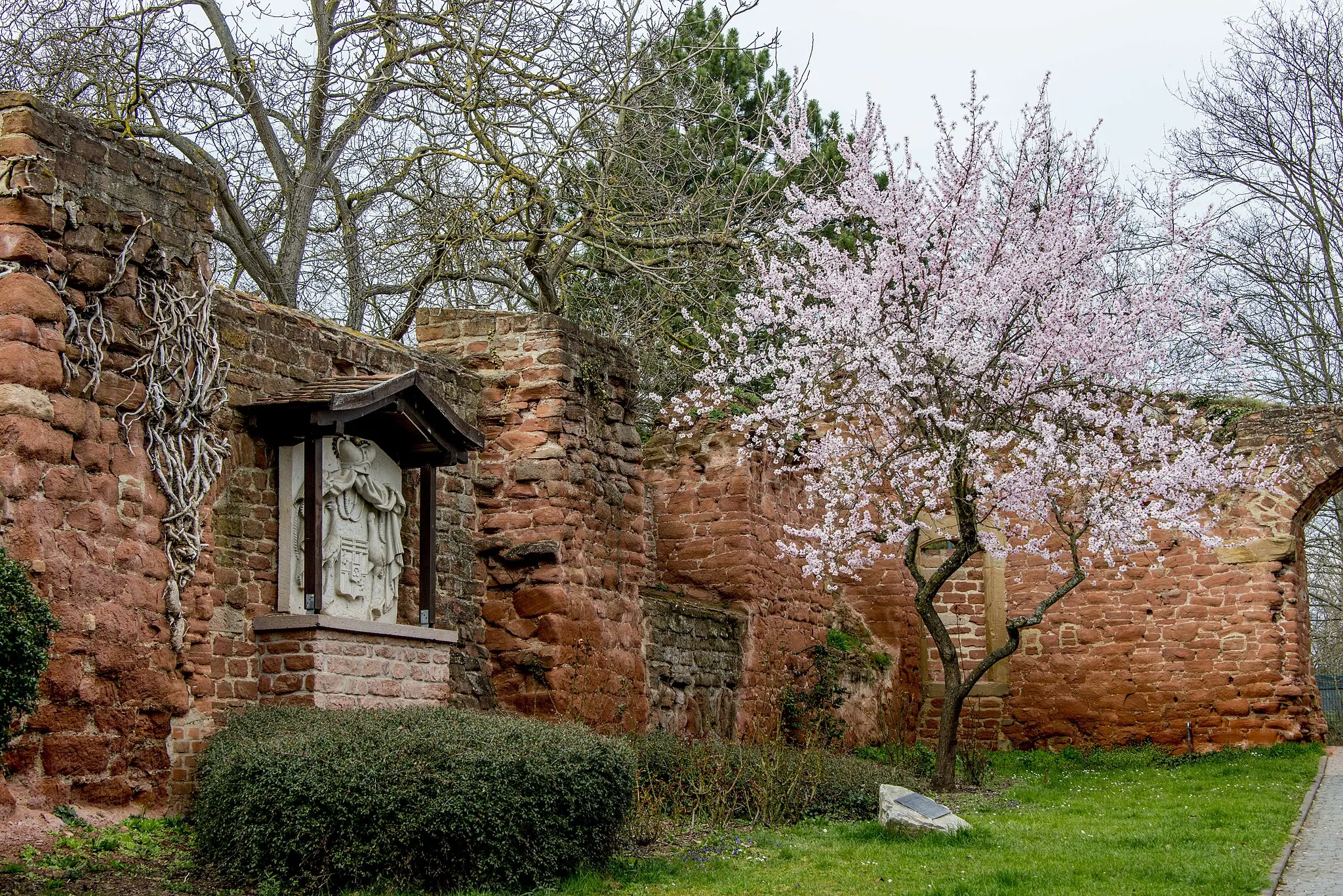 Photo showing: Bretzenheim, Altes Schloss, Ruine, Umrissmauern