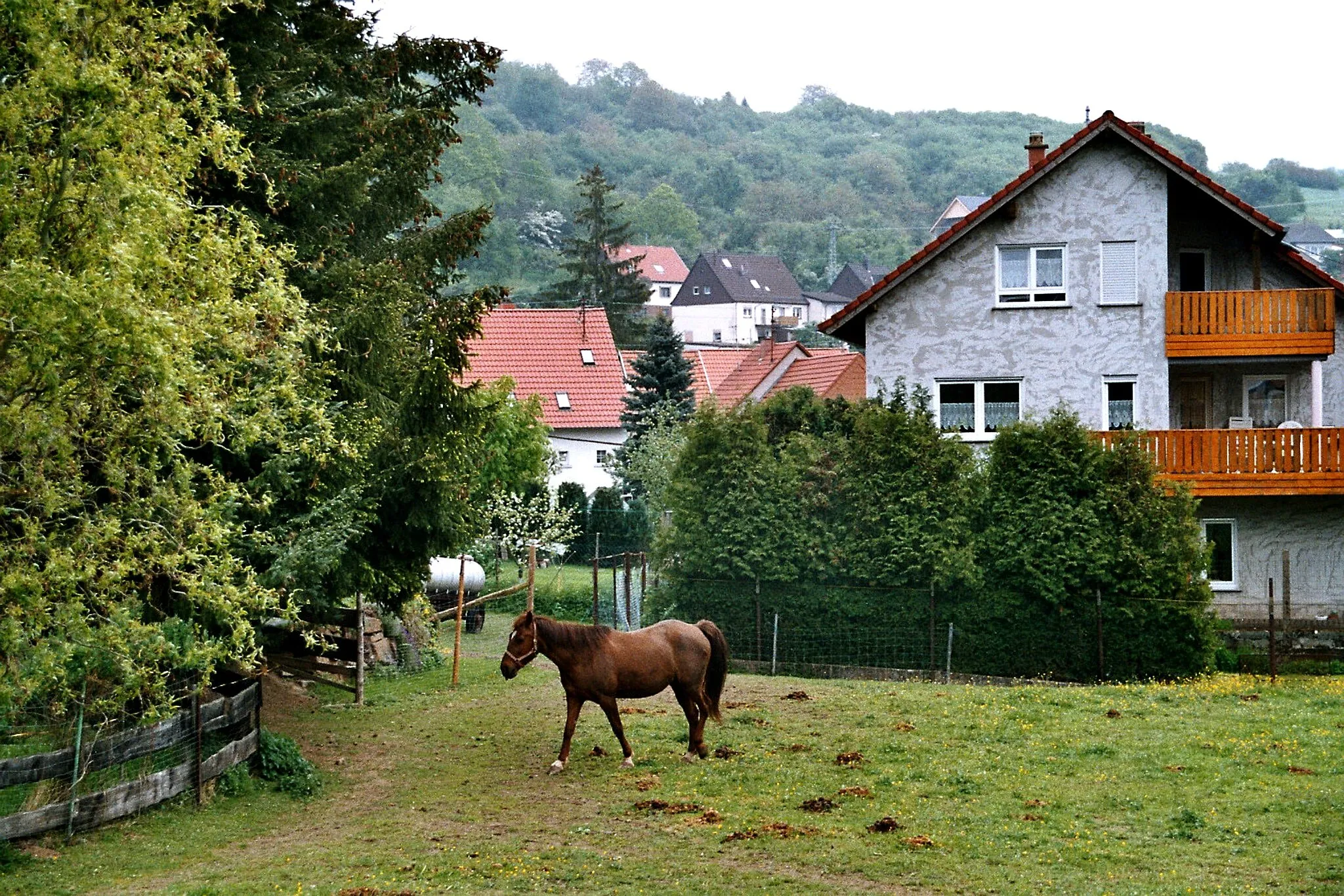 Photo showing: Altenkirchen (Pfalz), in the village