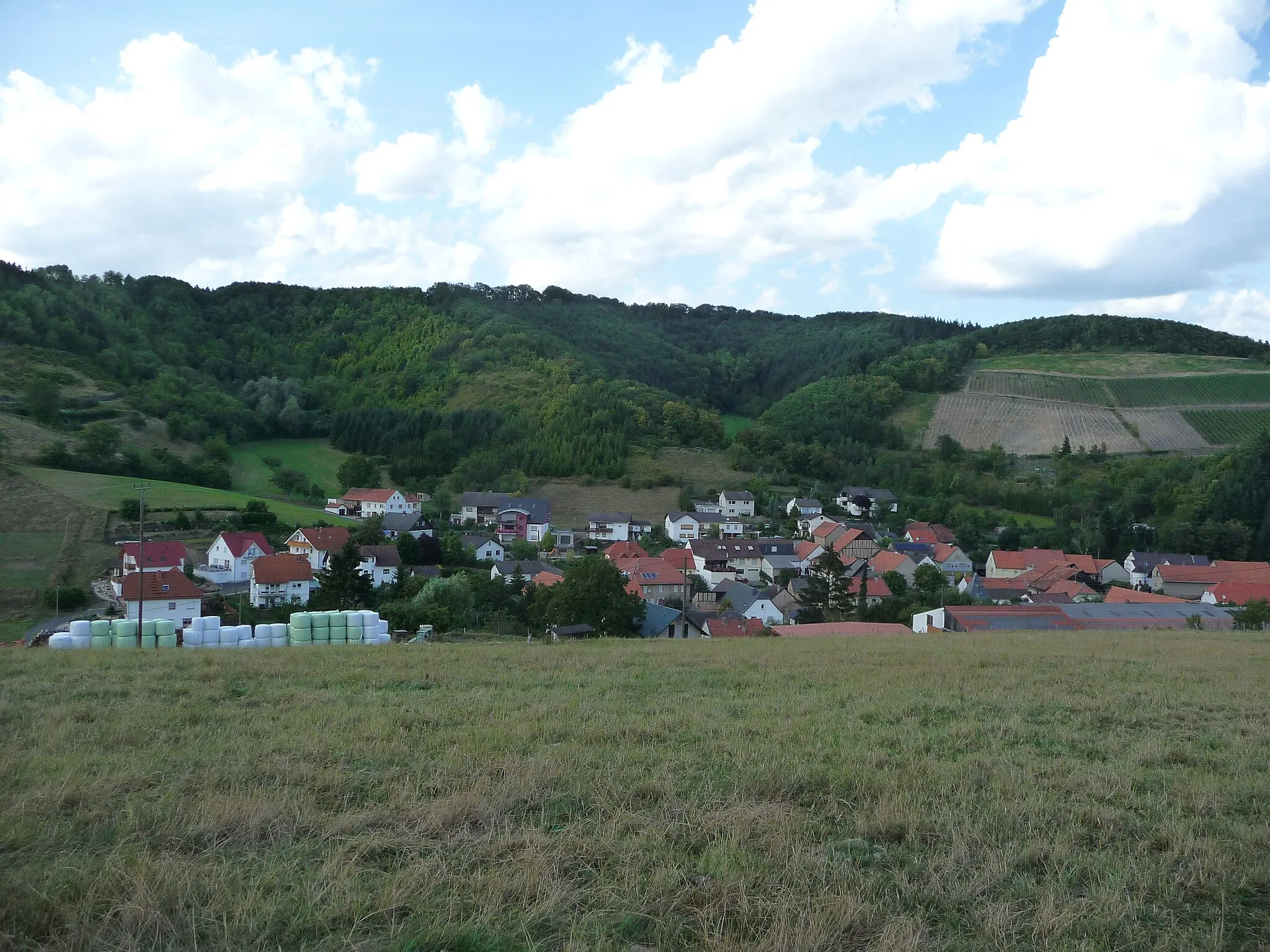 Photo showing: Auen bei Monzingen von Süden