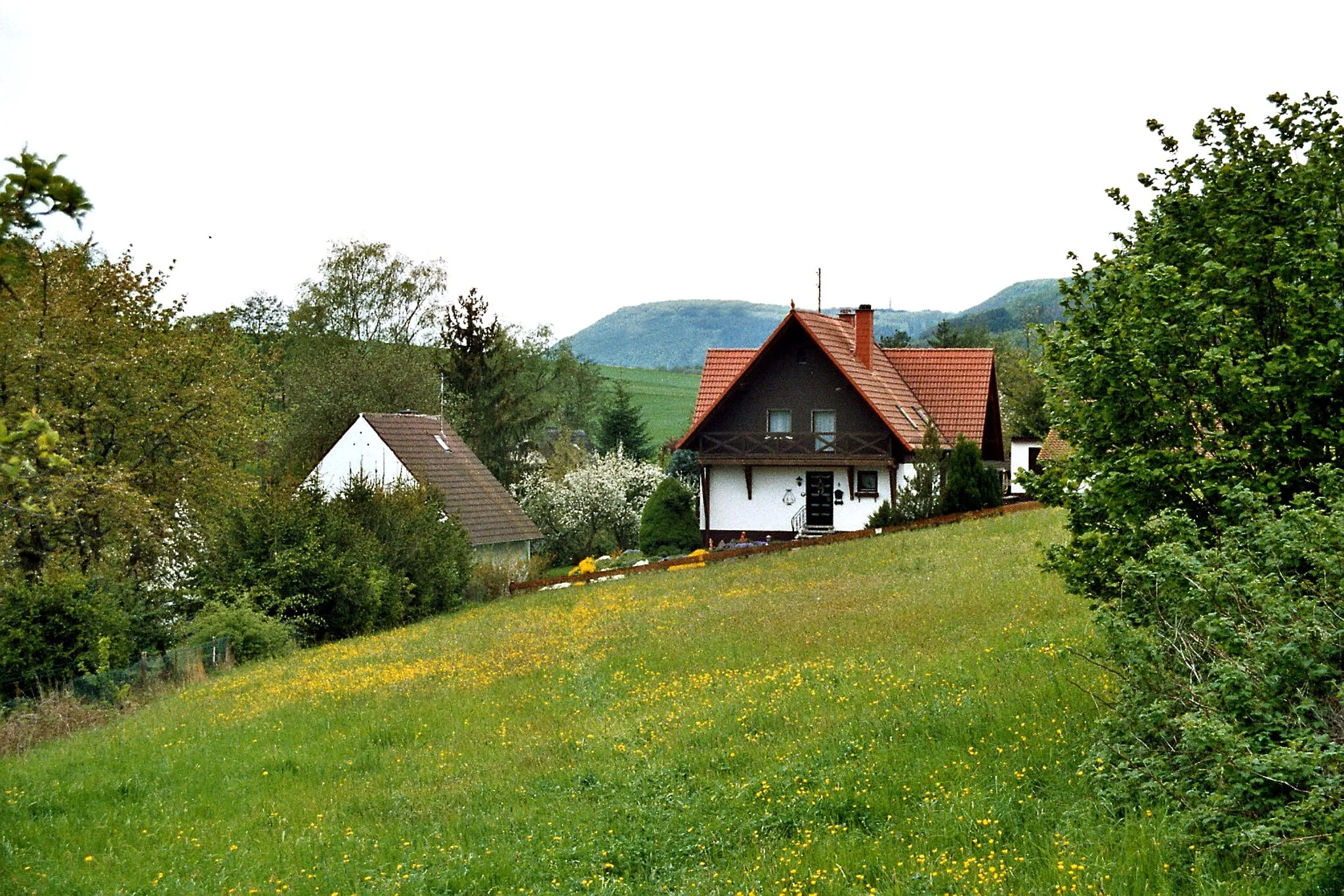 Photo showing: Dennweiler-Frohnbach, living in the green