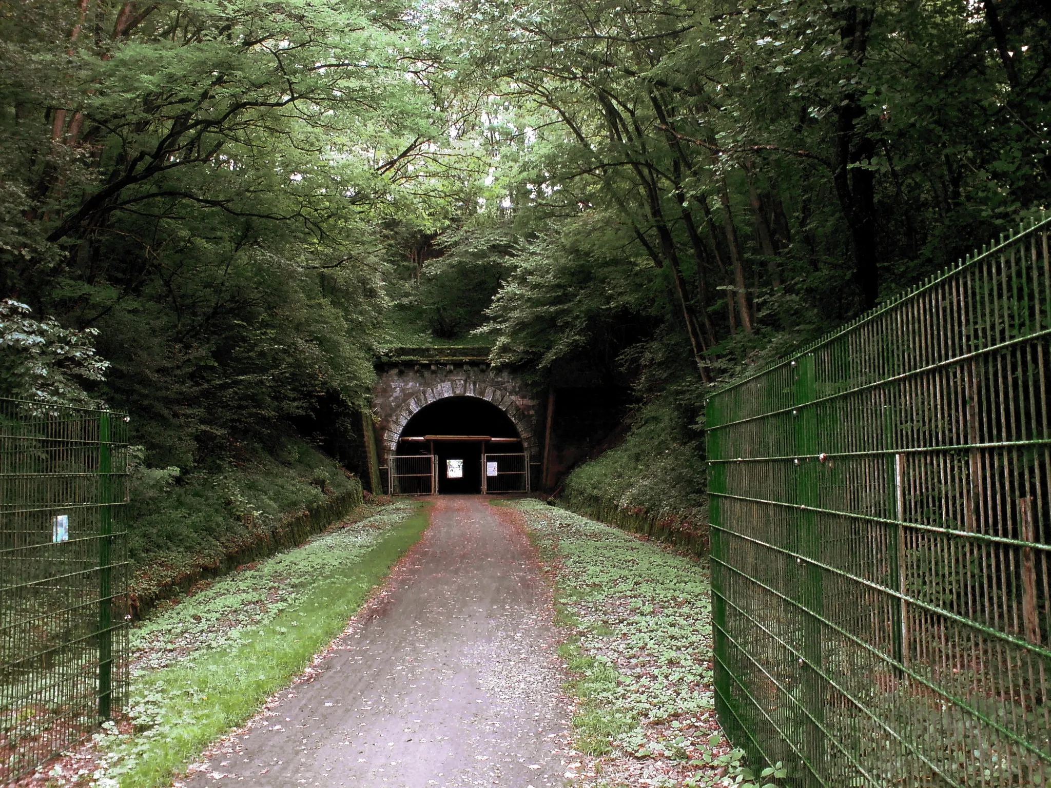 Photo showing: Der Elschbacher Tunnel von der Dietschweiler Seite aus gesehen.