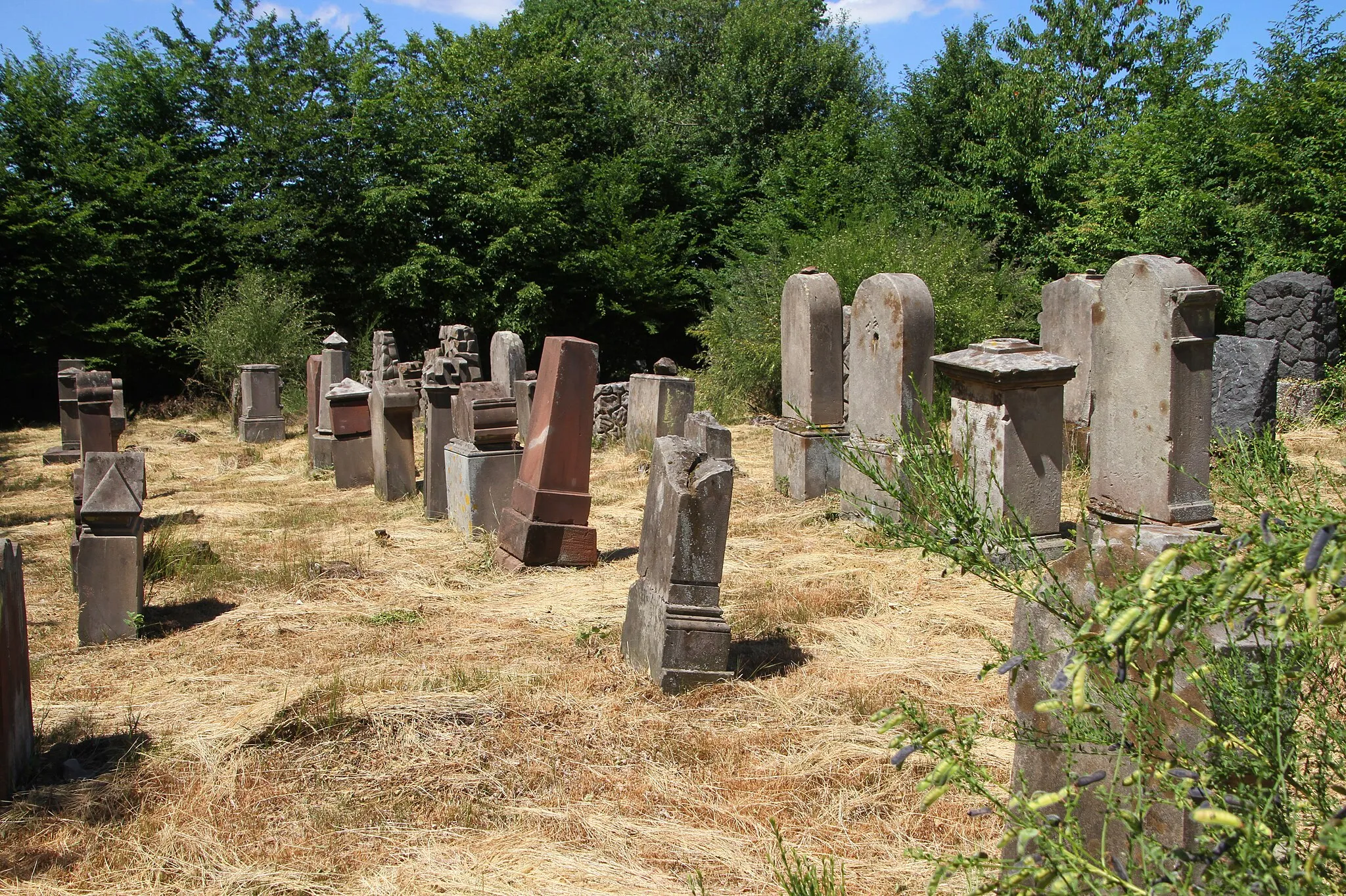 Photo showing: Jewish cemetery in Herschberg, Rhineland-Palatinate.