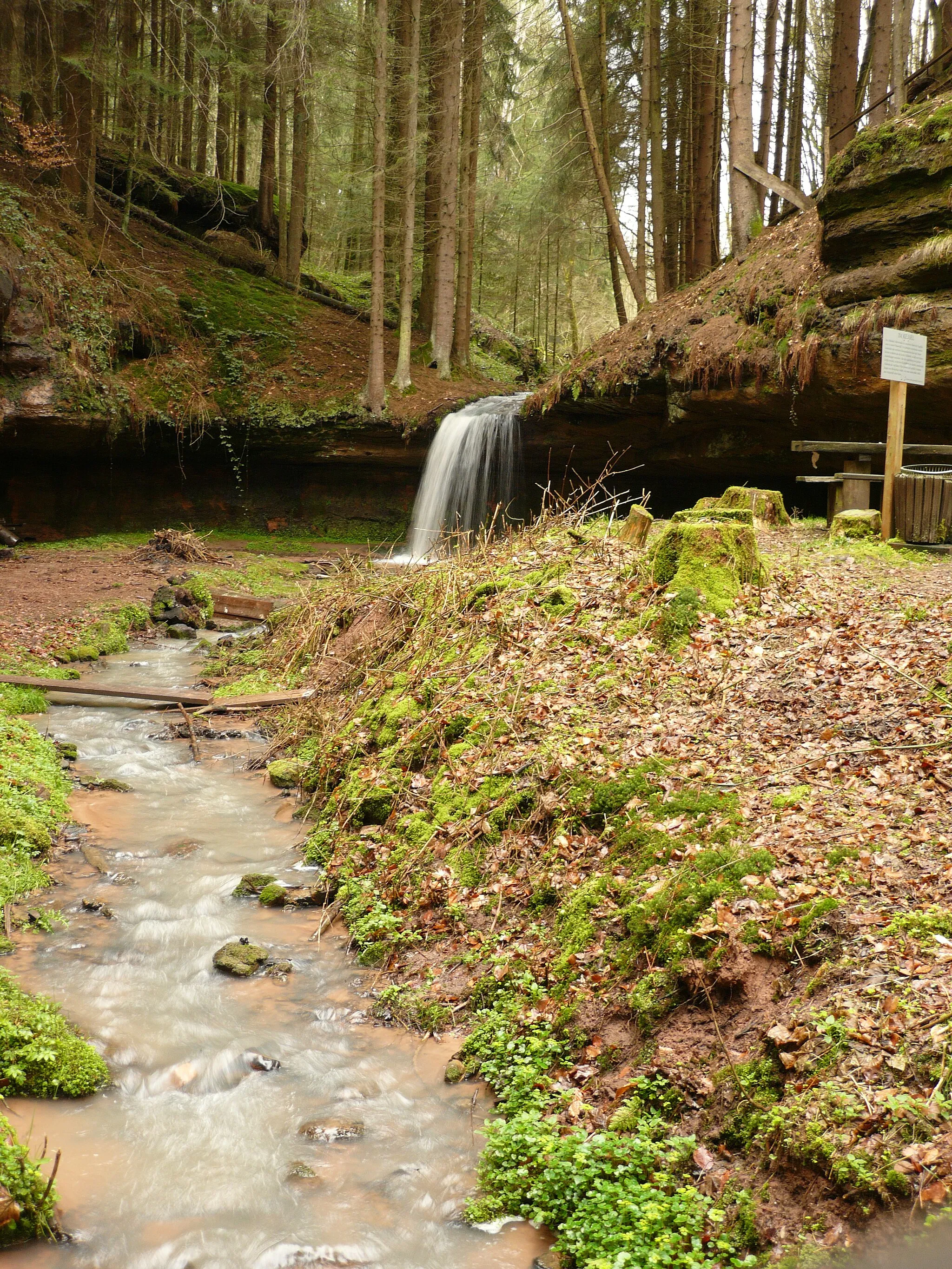 Photo showing: Odenbachtal near Herschberg/ Pfalz