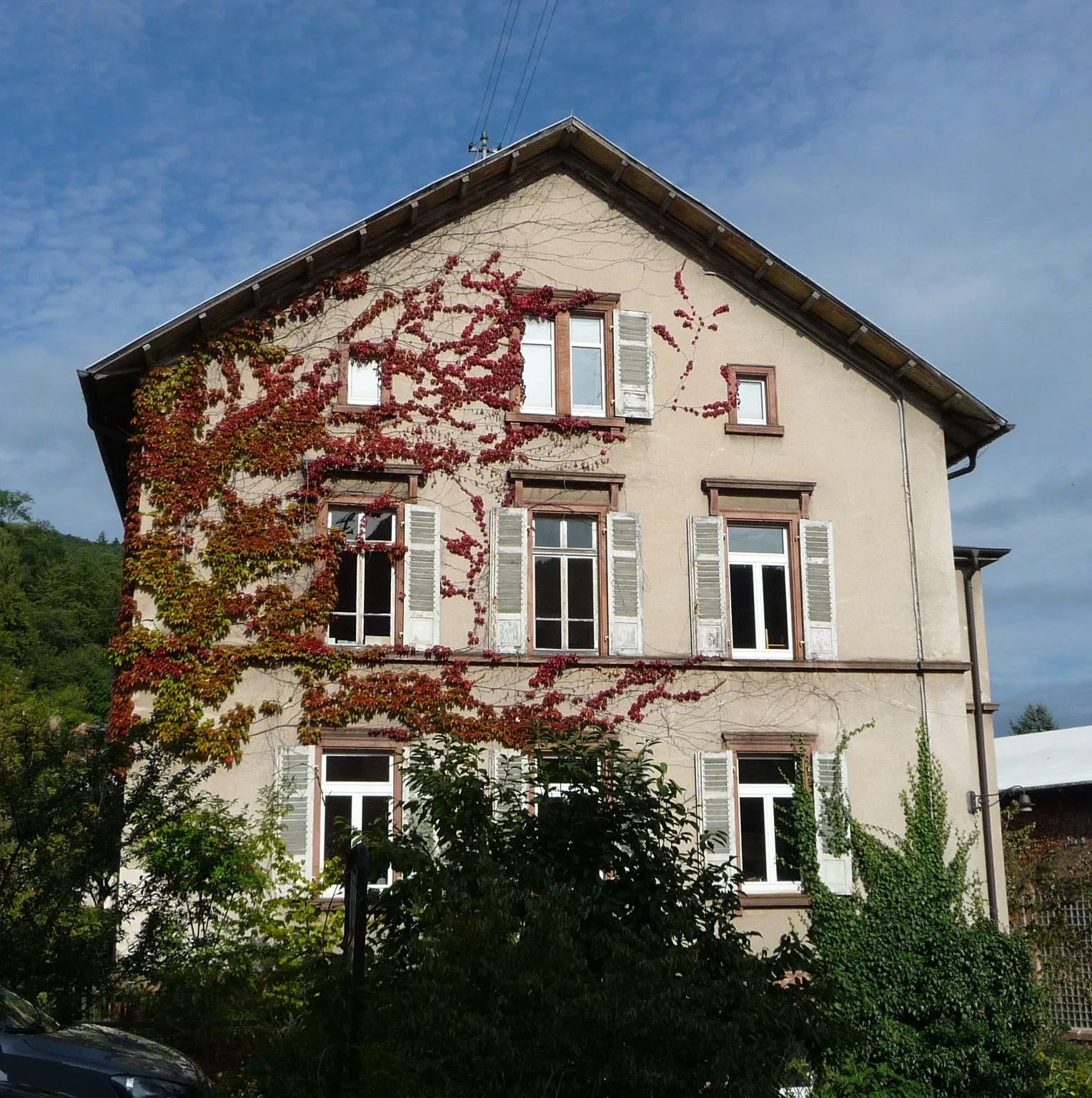 Photo showing: Haus in Frankeneck