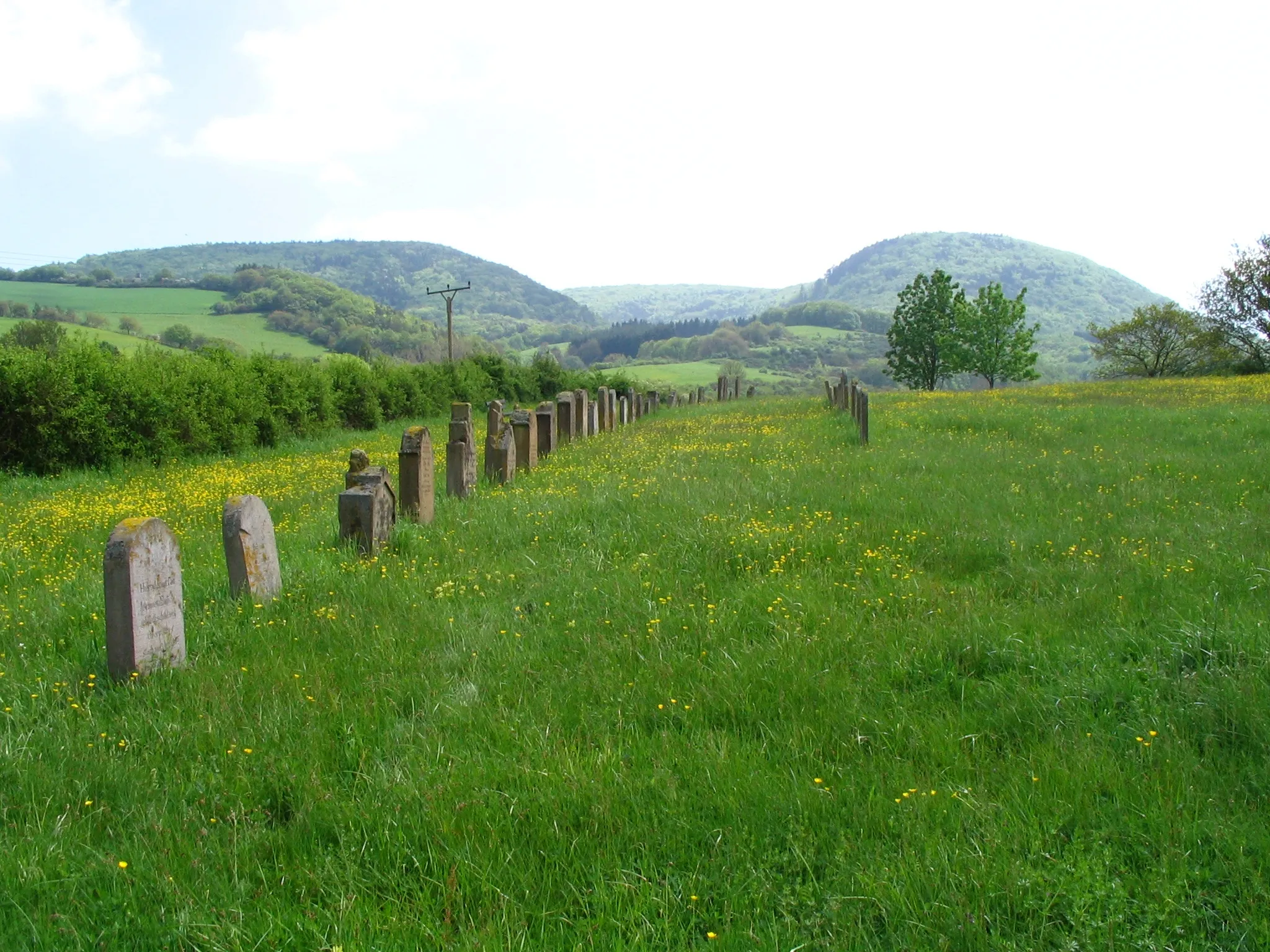 Photo showing: Blick vom jüdischen Friedhof in Hinzweiler ins Taufental. Links der Leienberg, rechts der Königsberg.