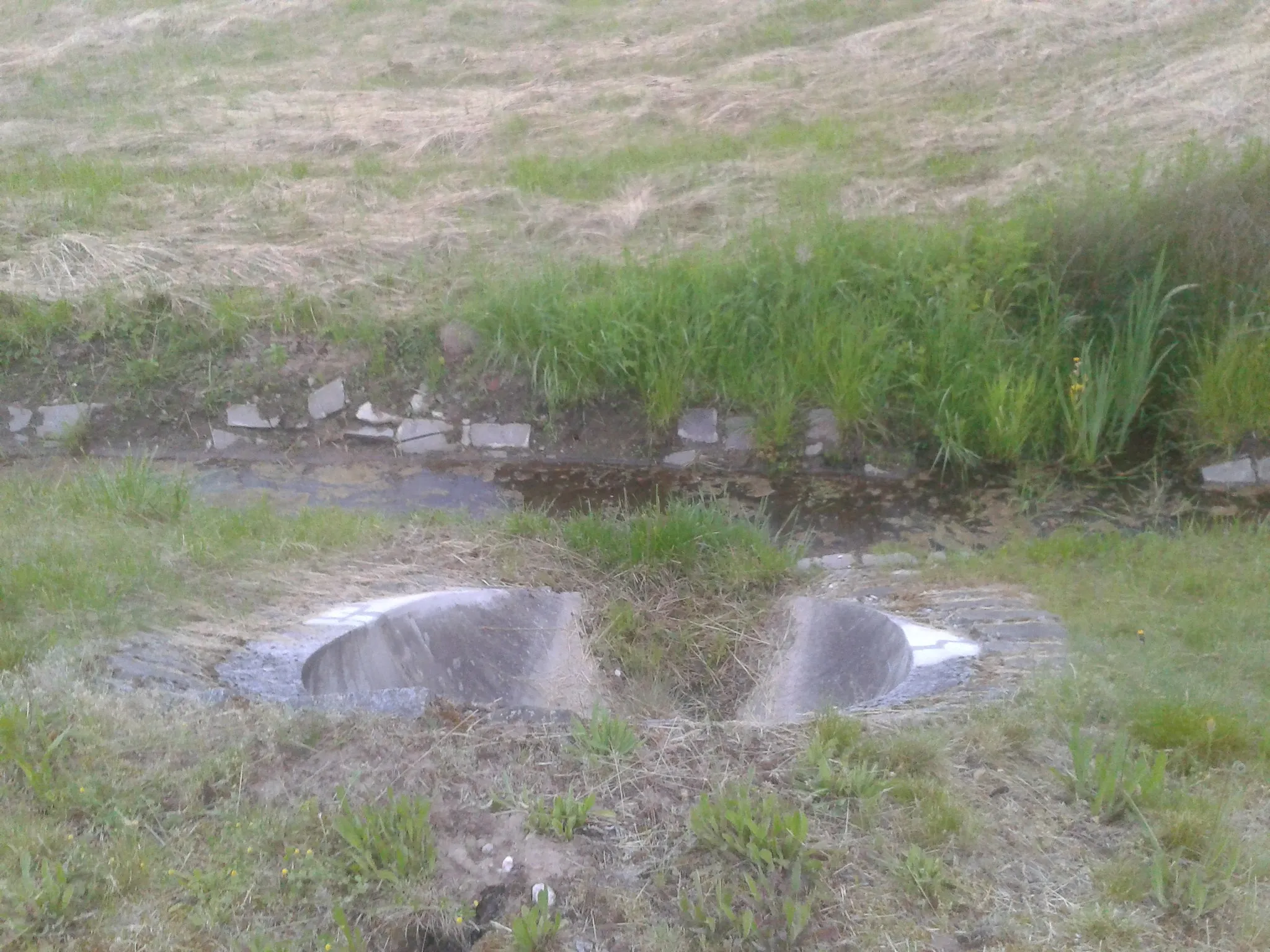 Photo showing: Naturschutzgebiet in Oberweiler-Tiefenbach (RLP)
Überlauf am alten Wehr an der Lauter.