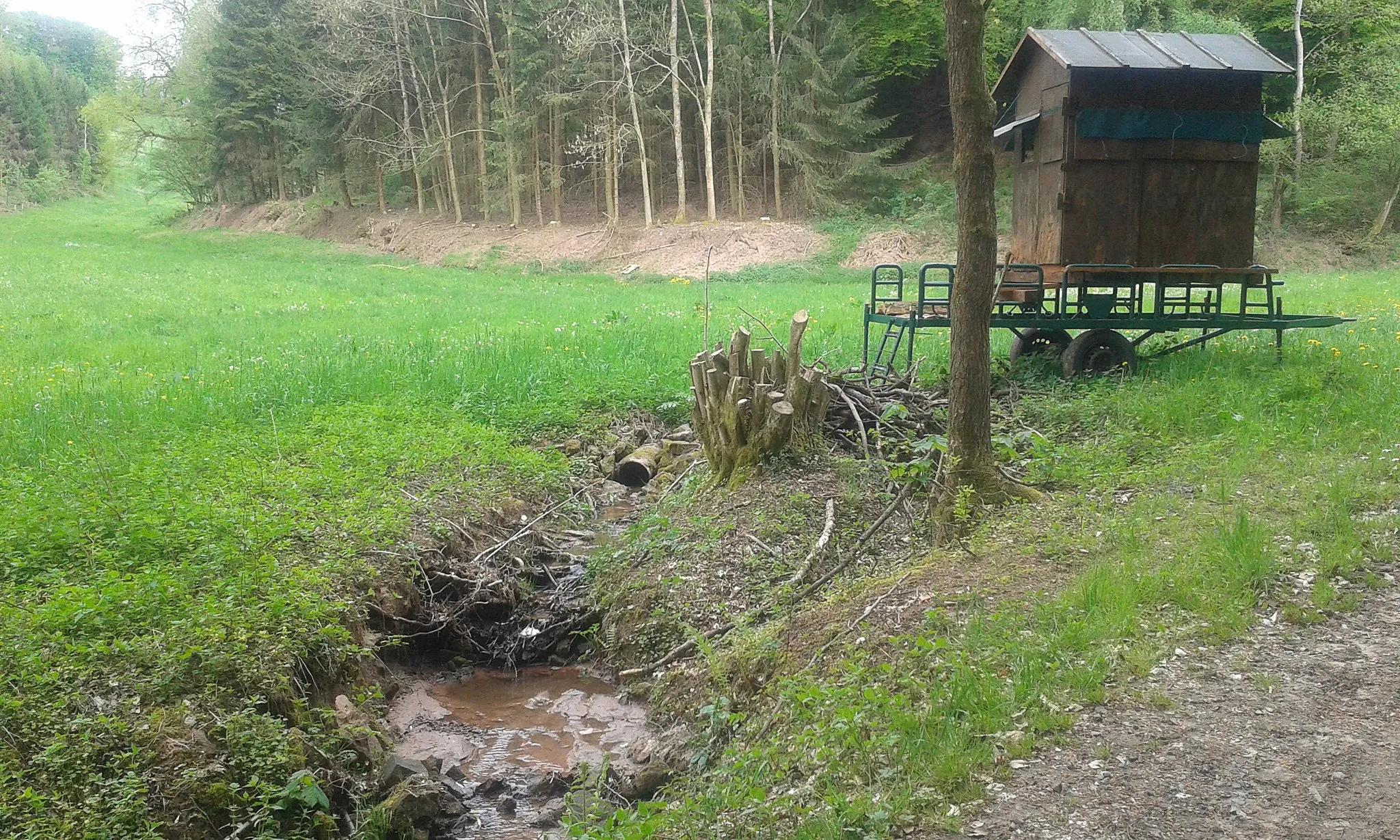 Photo showing: The source of the Lambsbach in Lambsborn