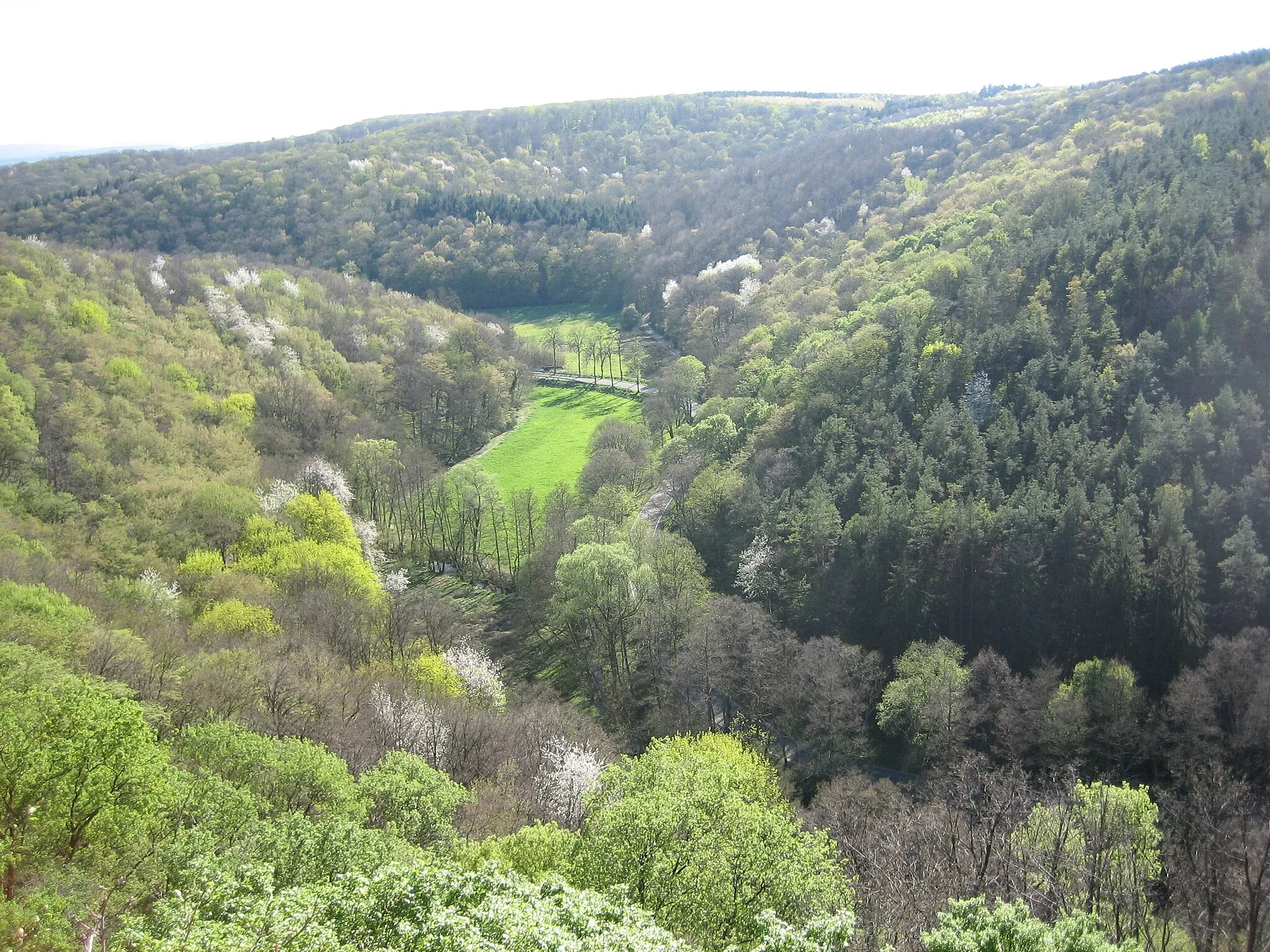Photo showing: view from Teufelsrutsch, Wendelsheim, Germany