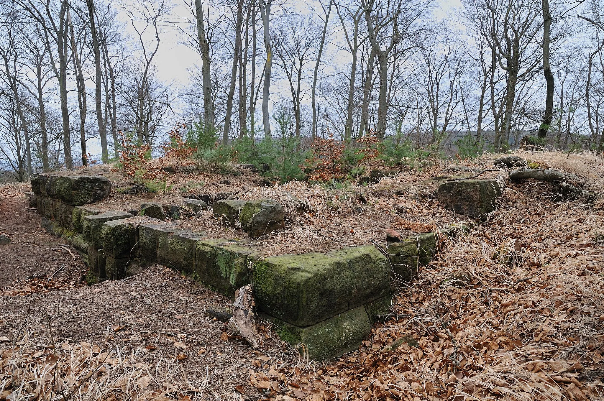 Photo showing: Remains of Castle Perleberg