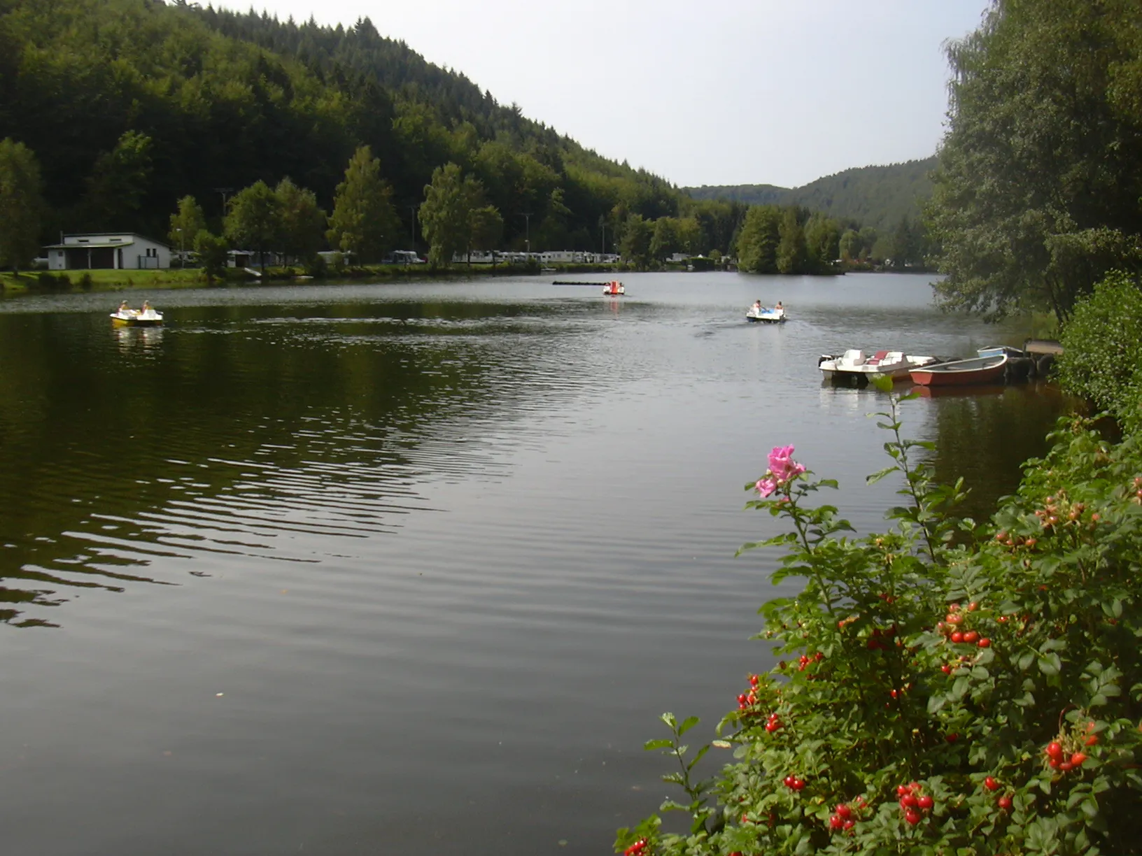 Photo showing: Clausensee (lake near Waldfischbach-Burgalben / Palatinate, Germany