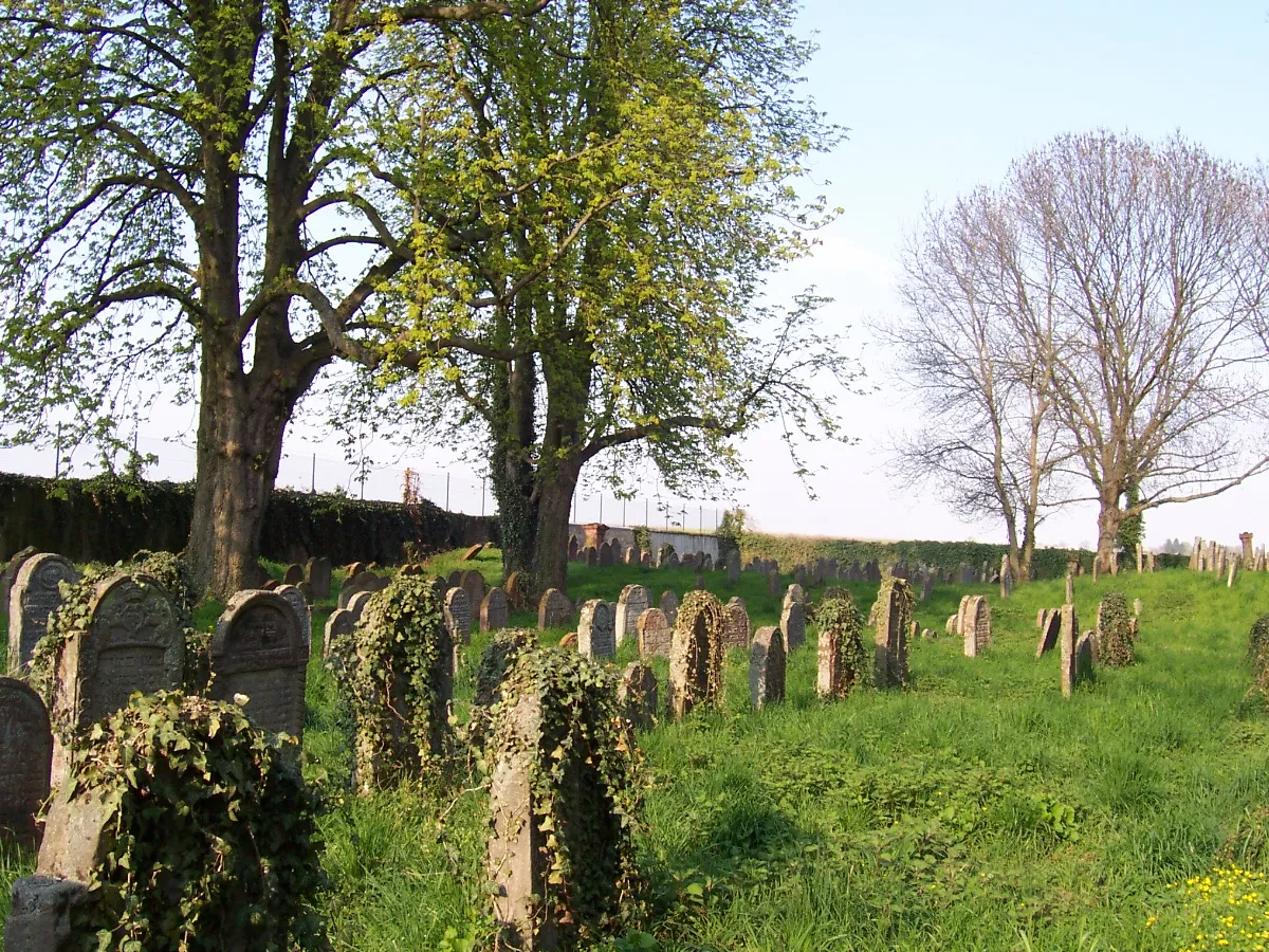 Photo showing: suedlicher Judenfriedhof Essingen
